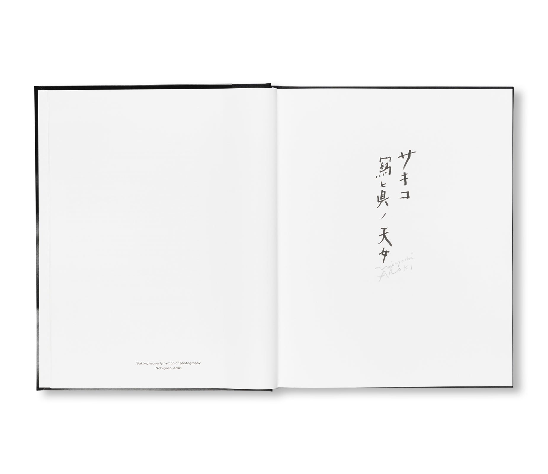 SAKIKO NOMURA: TENDER IS THE NIGHT by Sakiko Nomura