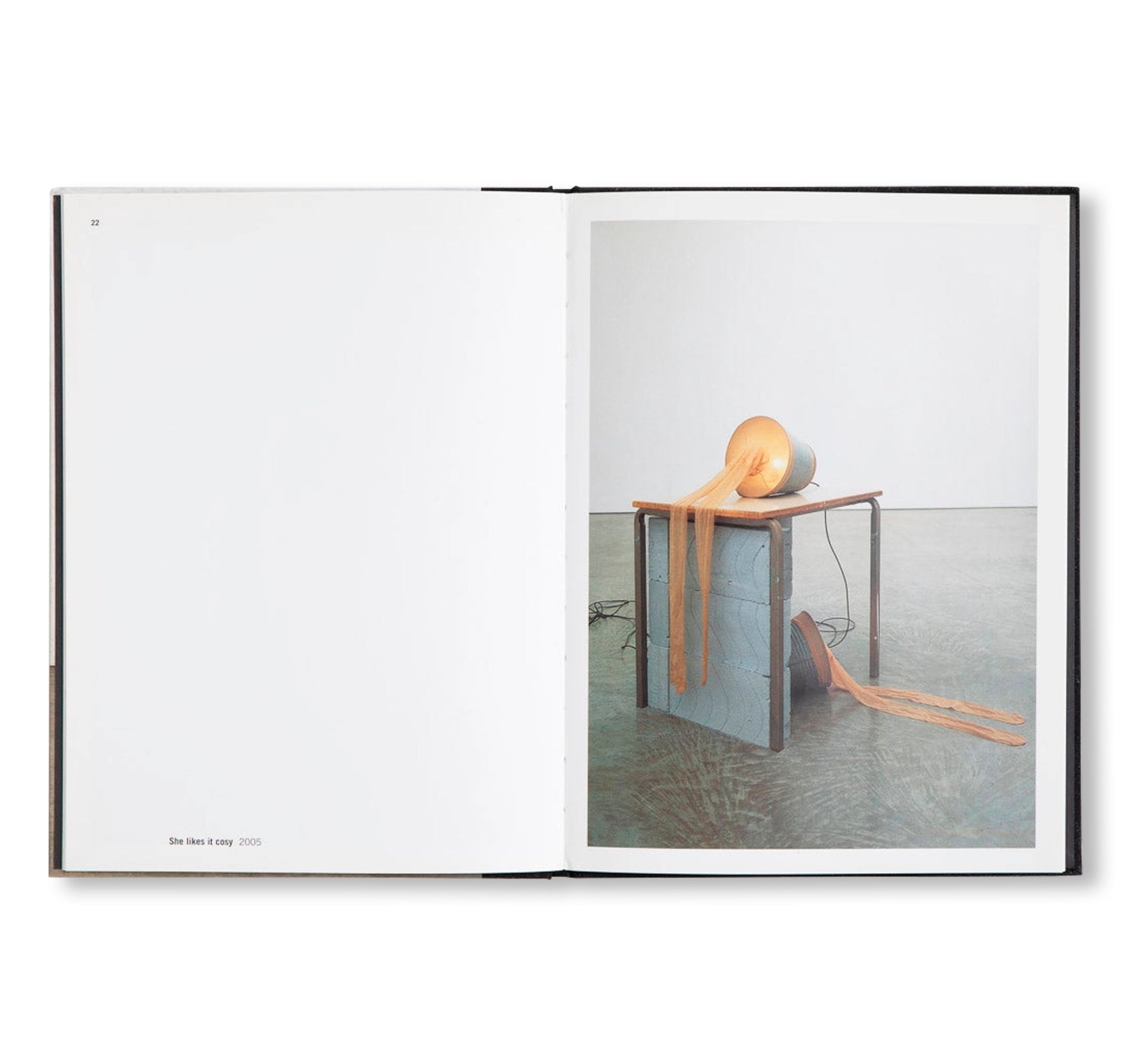 GOD IS DAD by Sarah Lucas