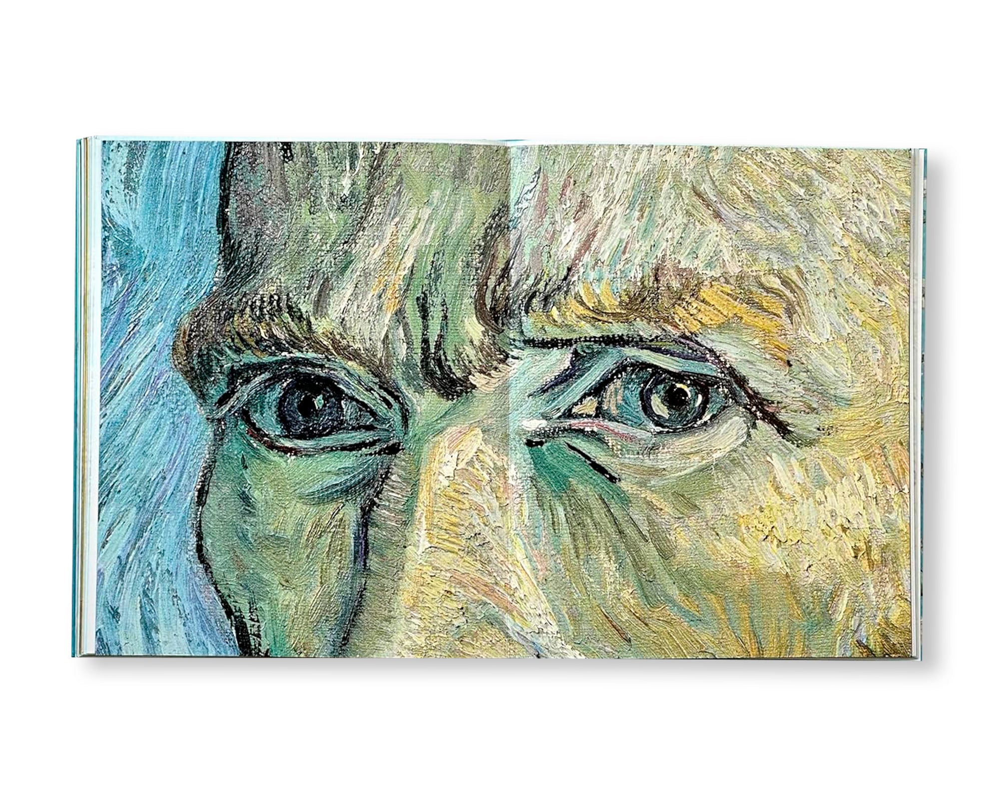 VAN GOGH - THE BIGGER PICTURE by Anne Sefrioui