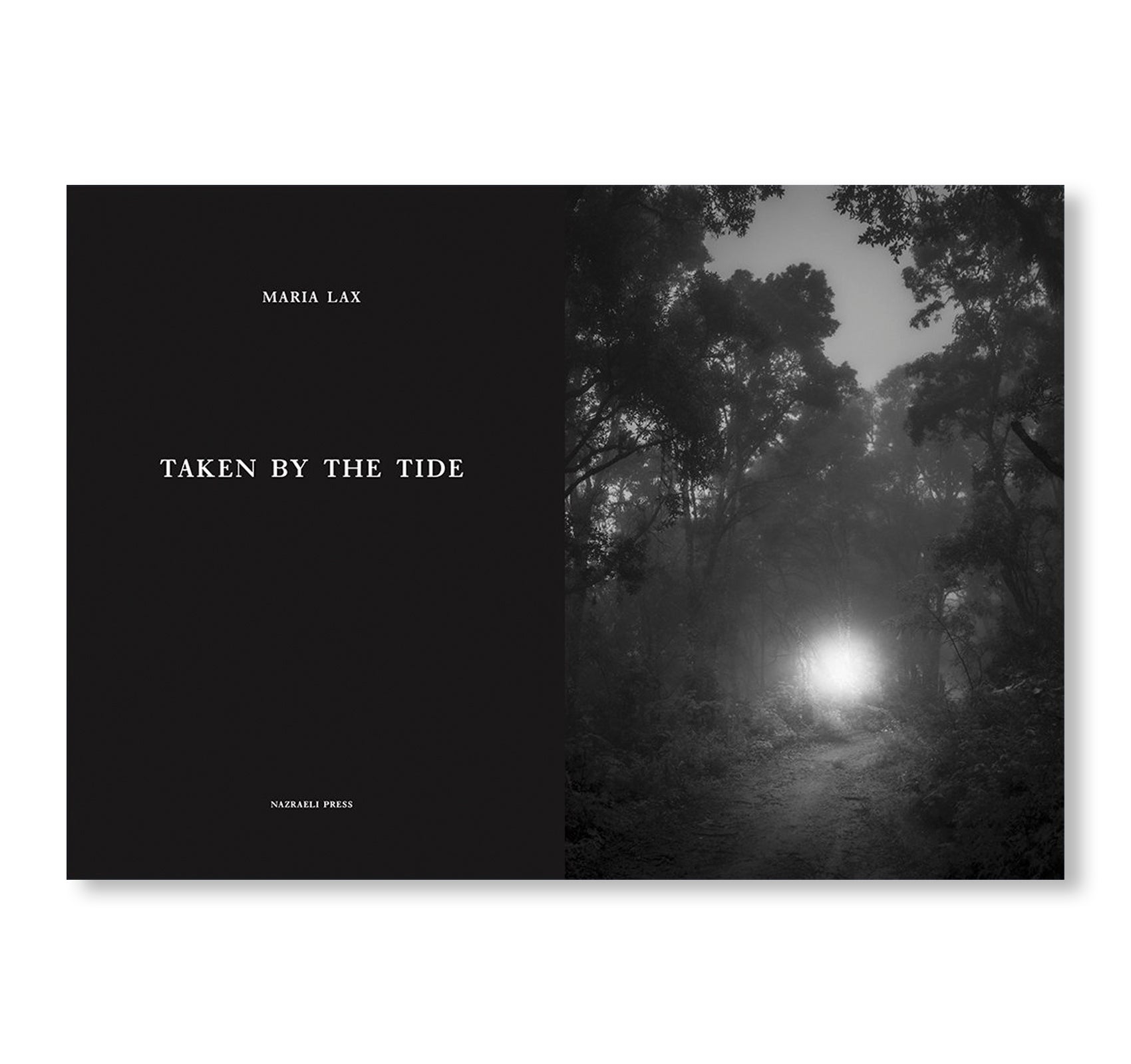 ONE PICTURE BOOK TWO #36: TAKEN BY THE TIDE by Maria Lax