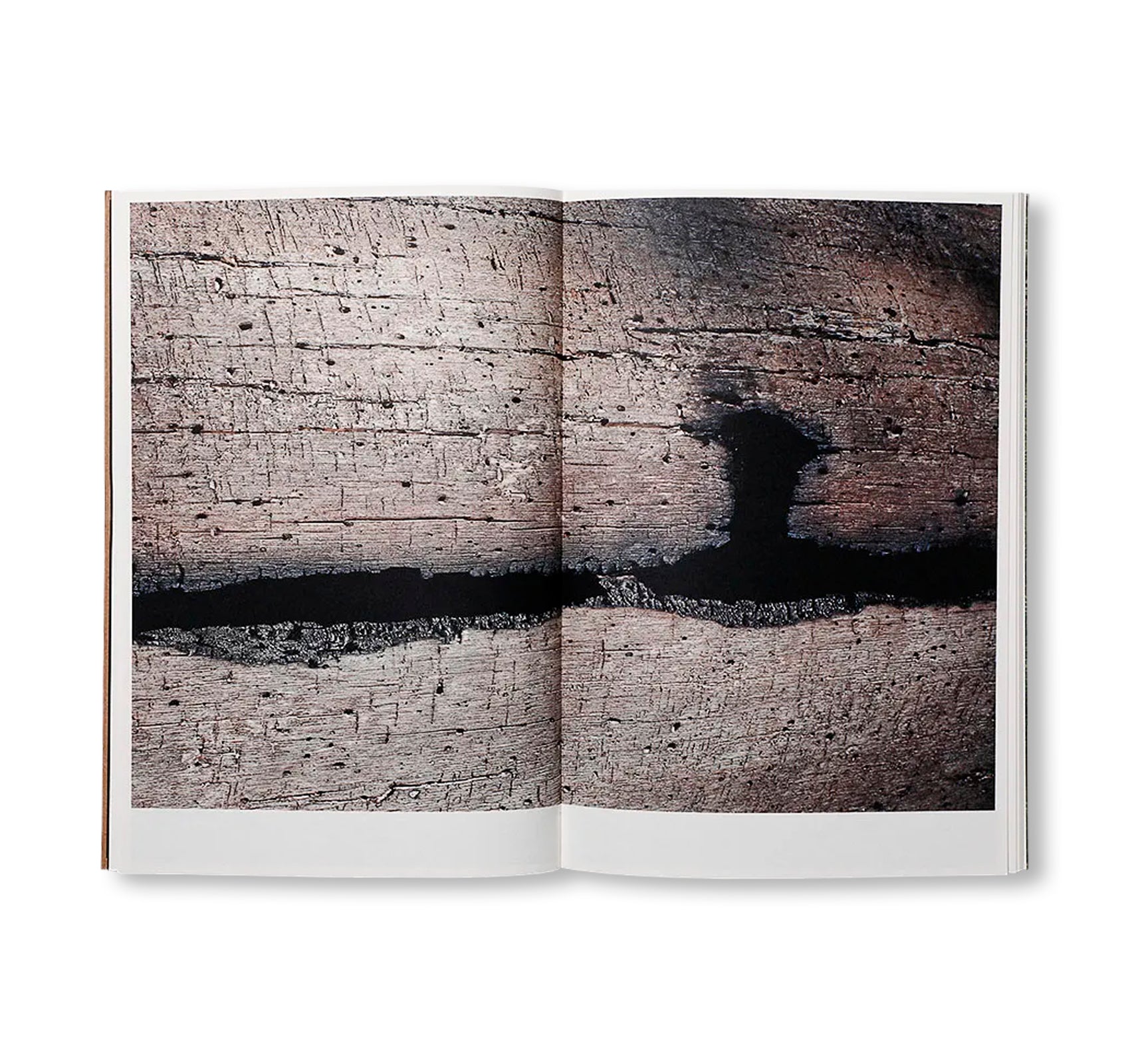 THE DARK WOOD by Danielle Mericle [SIGNED]