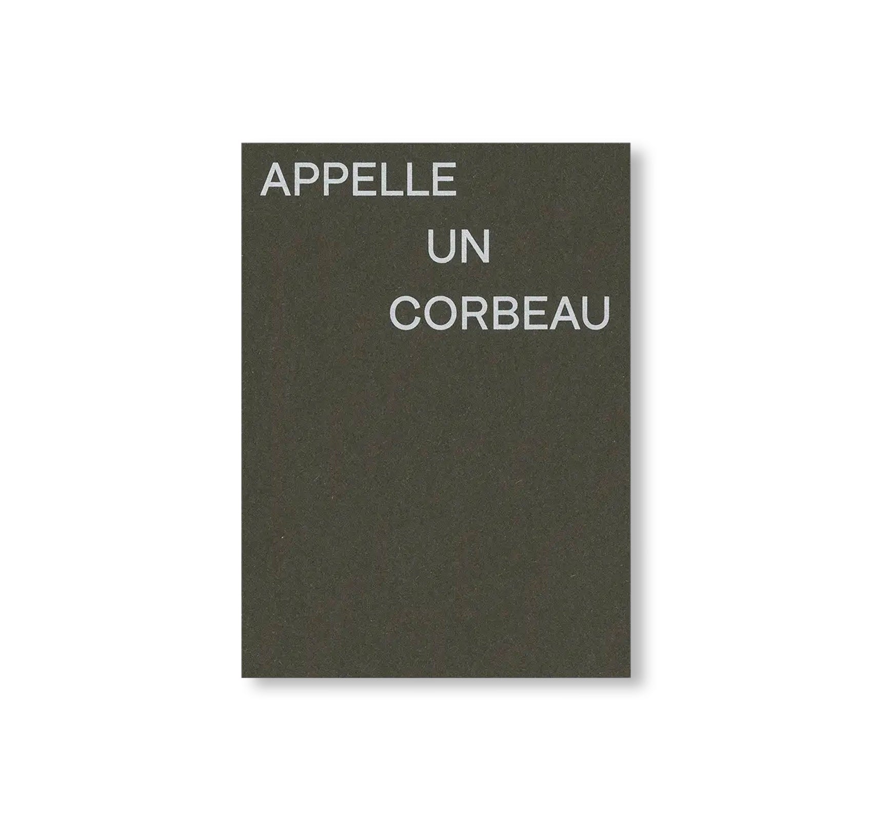 CALL TO A CROW – APPELLE UN CORBEAU by David Horvitz