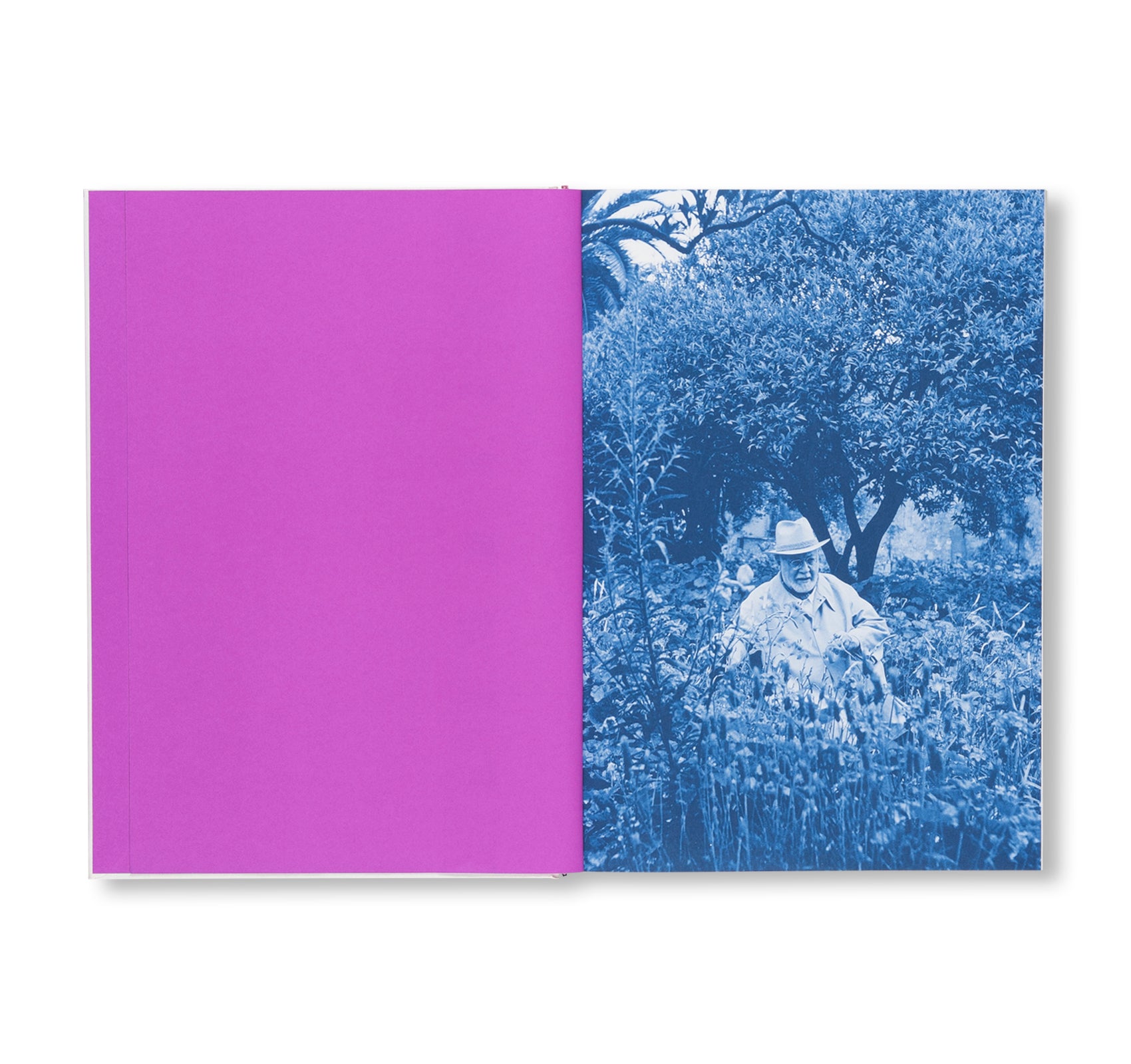 COLOUR UNBOUND: HENRI MATISSE 1941–1954 by Henri Matisse