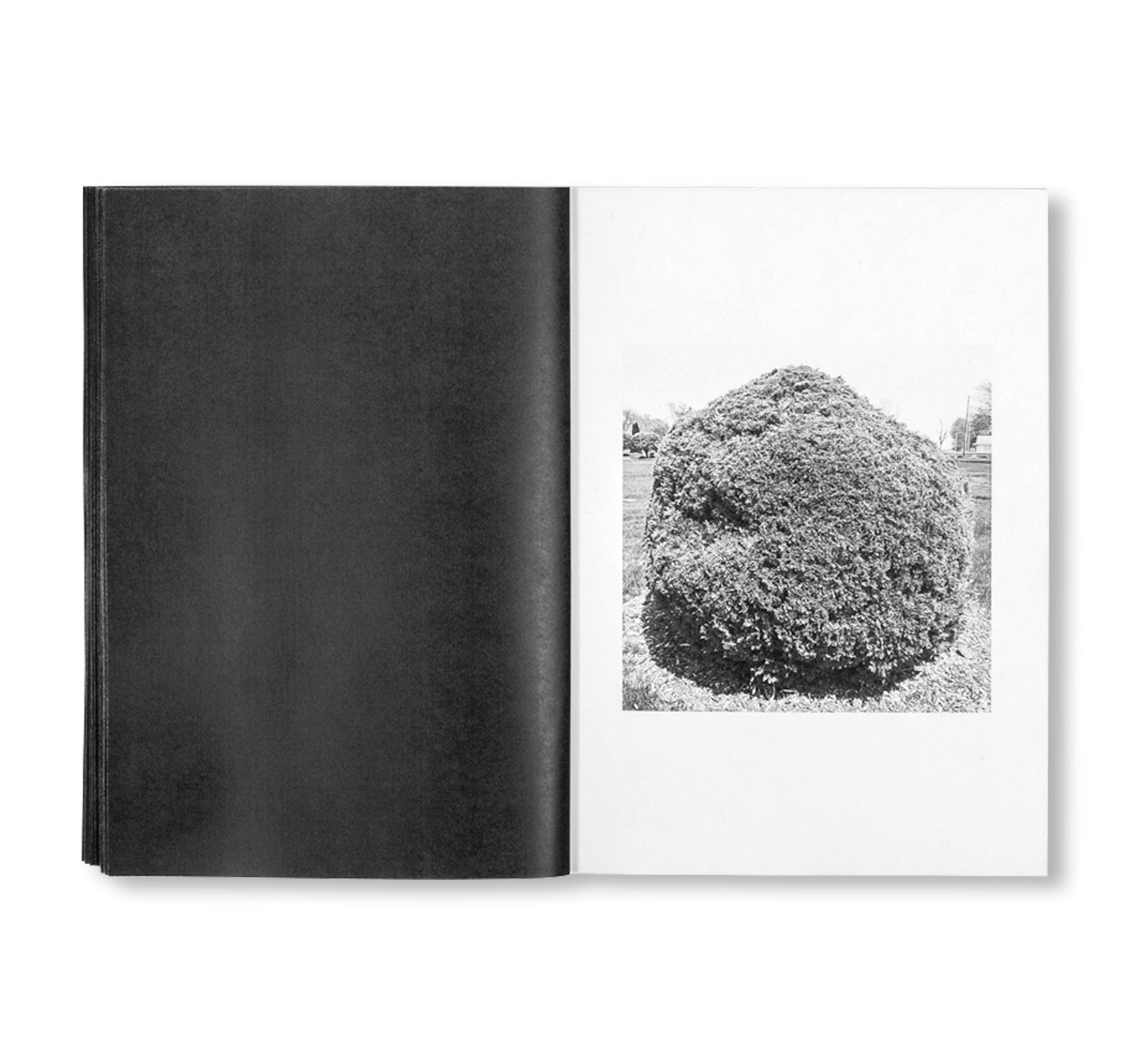 SHRUBS OF DEATH by Mike Slack [ENGLISH COVER / SIGNED]