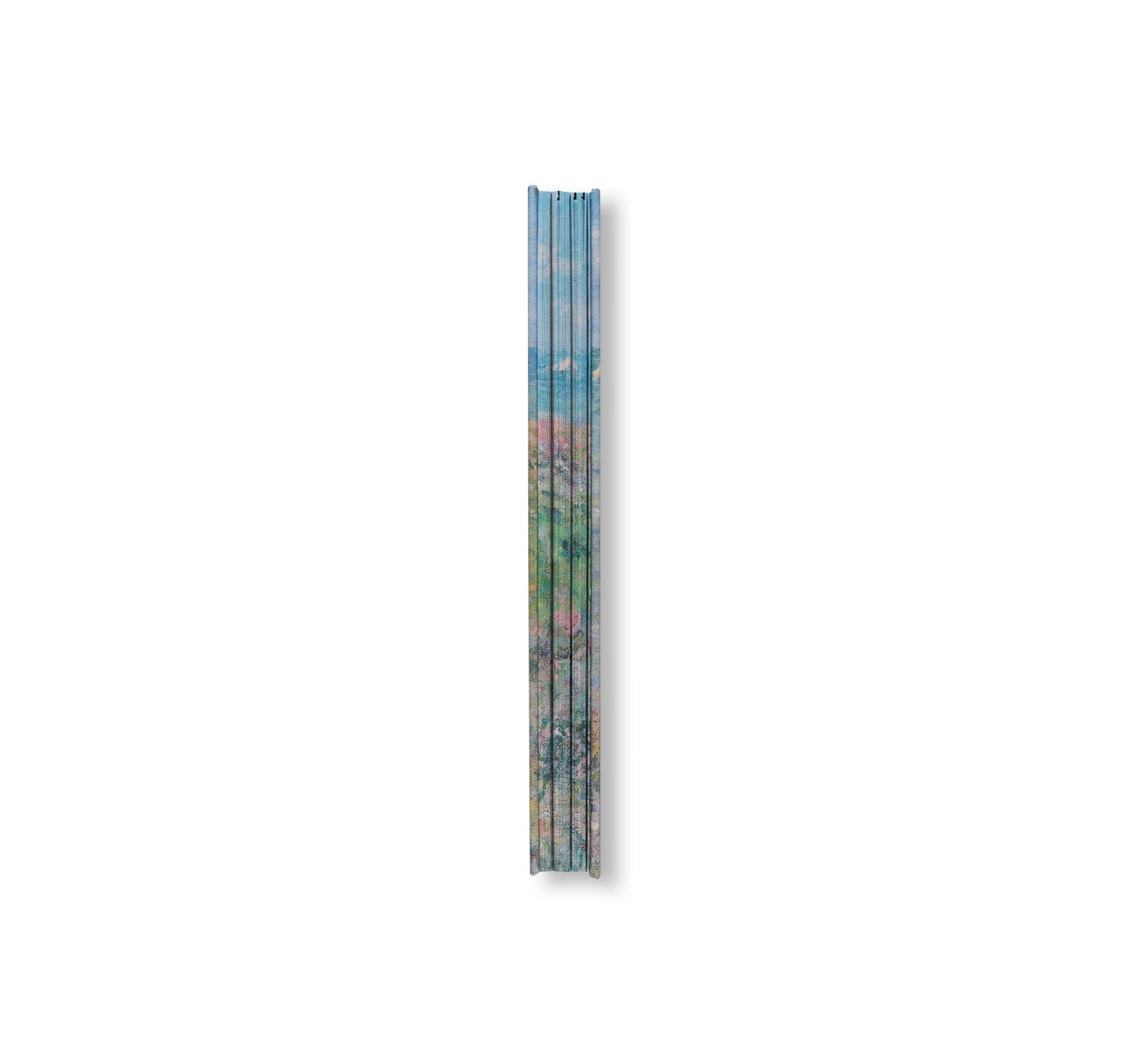 MONET - THE BIGGER PICTURE by Anne Sefrioui