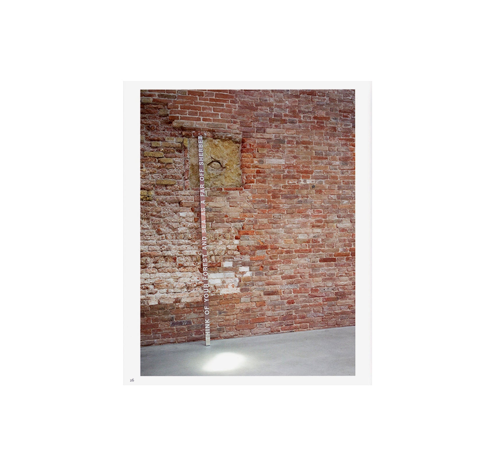 RONI HORN: WATER WATER ON THE WALL, YOU’RE THE FAIREST OF THEM ALL by Roni Horn