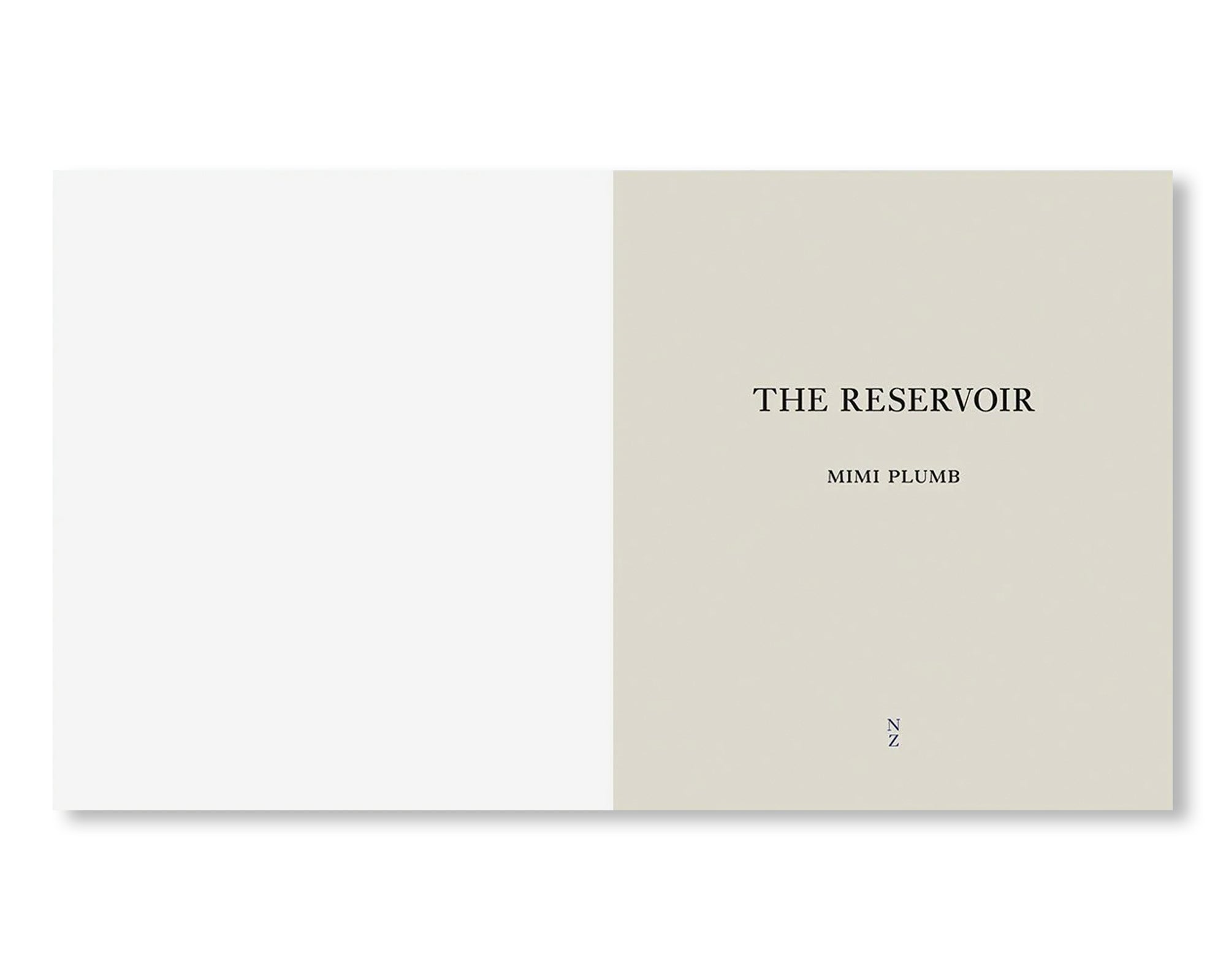 THE RESERVOIR by Mimi Plumb