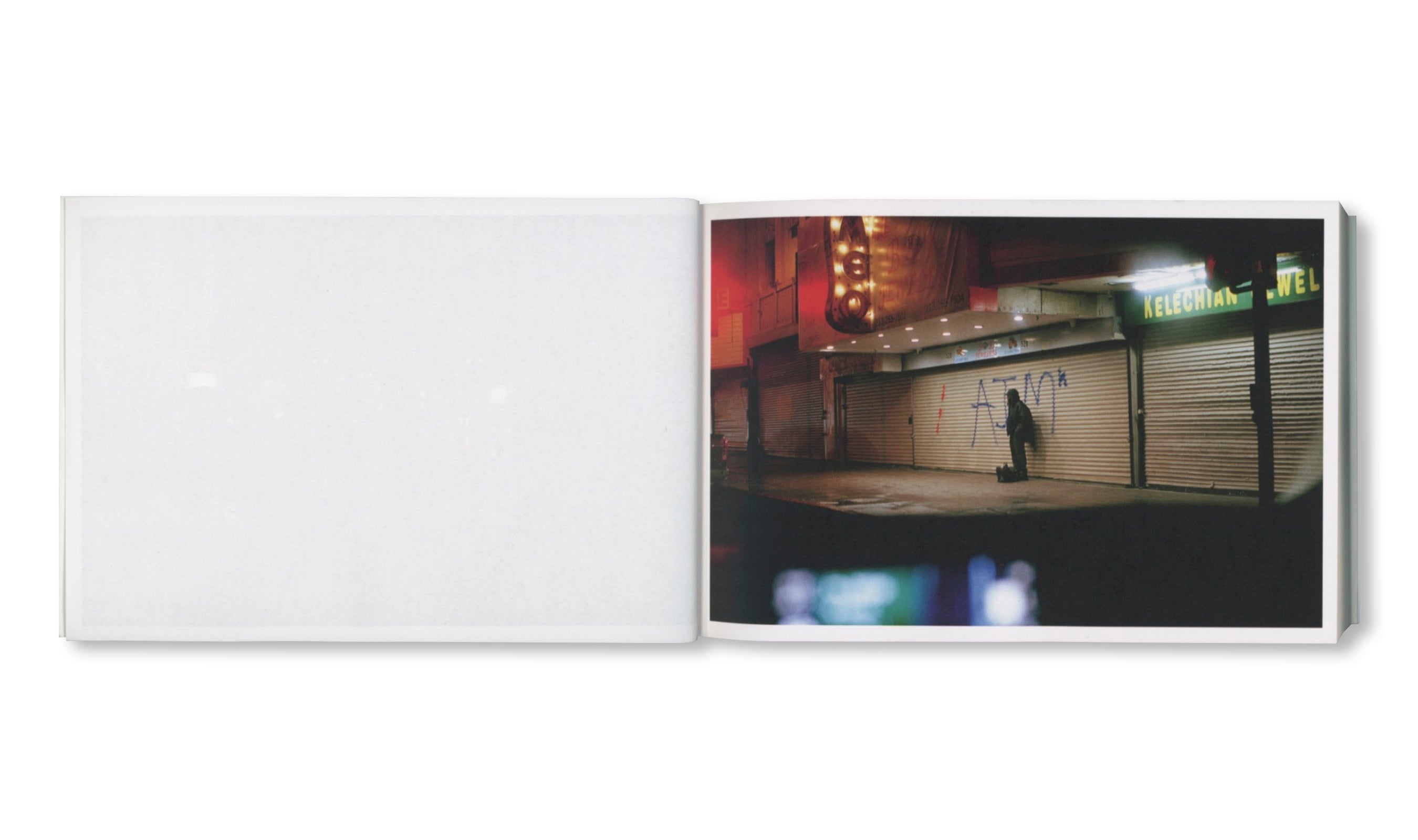 DAMAGED by Paul Grund [SIGNED]