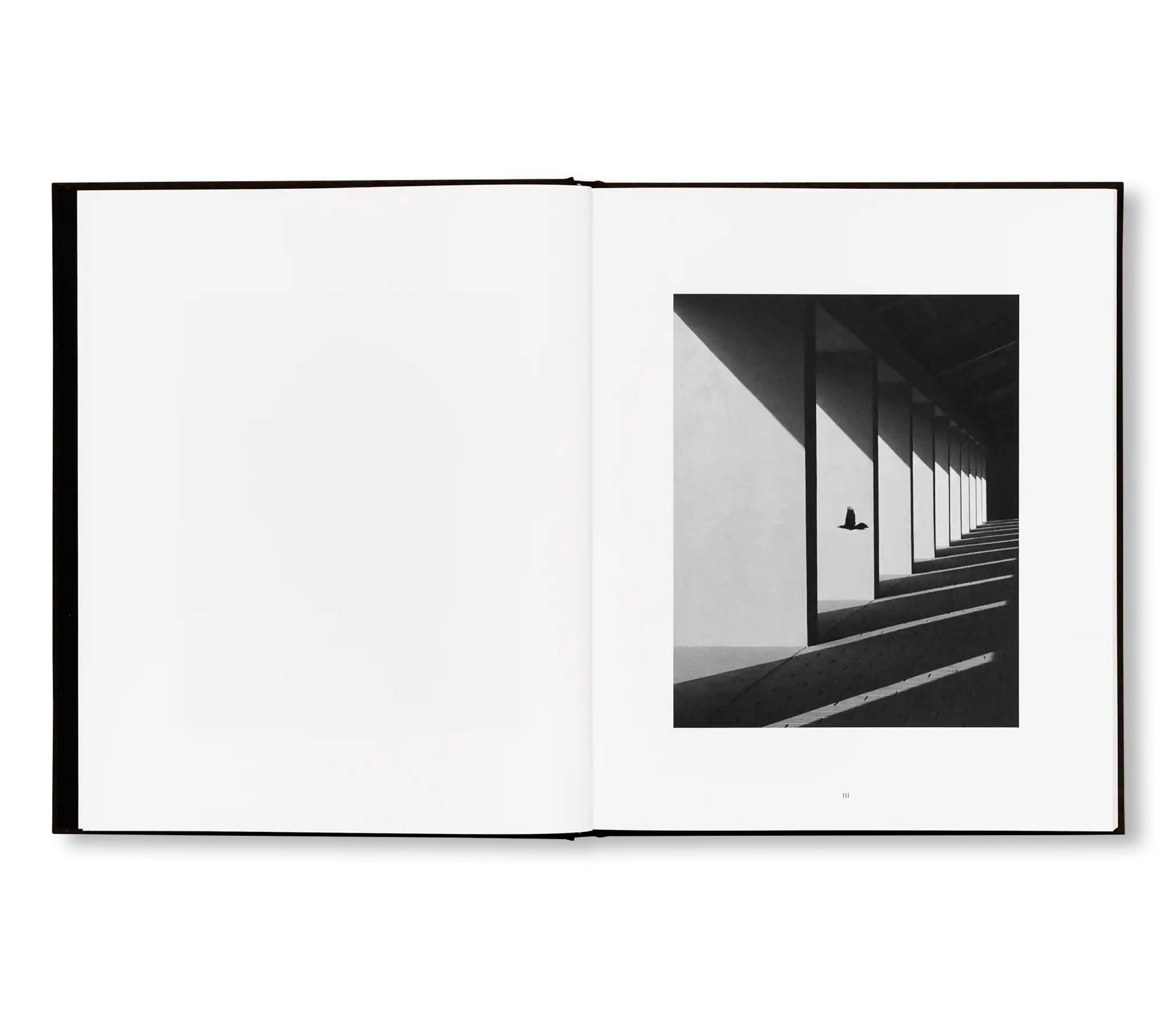PENUMBRA by Rich Stapleton