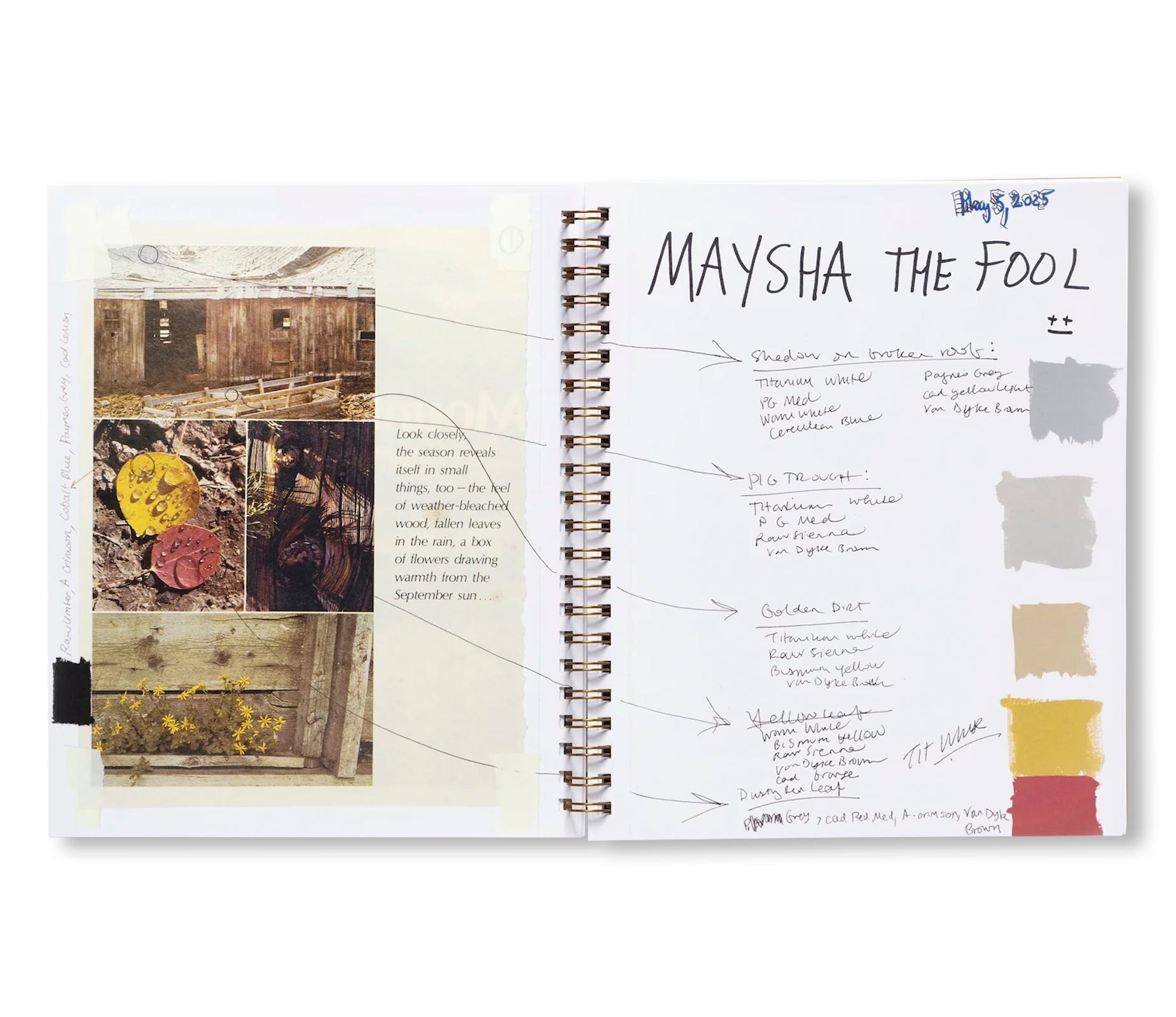 MAYSHA THE FOOL by Maysha Mohamedi