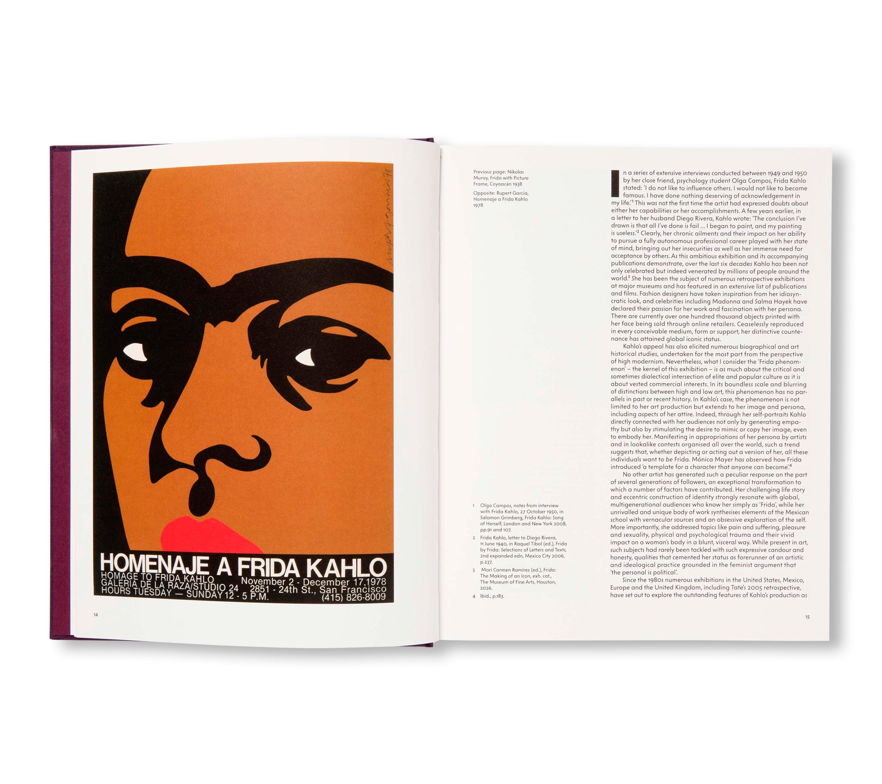 FRIDA: THE MAKING OF AN ICON