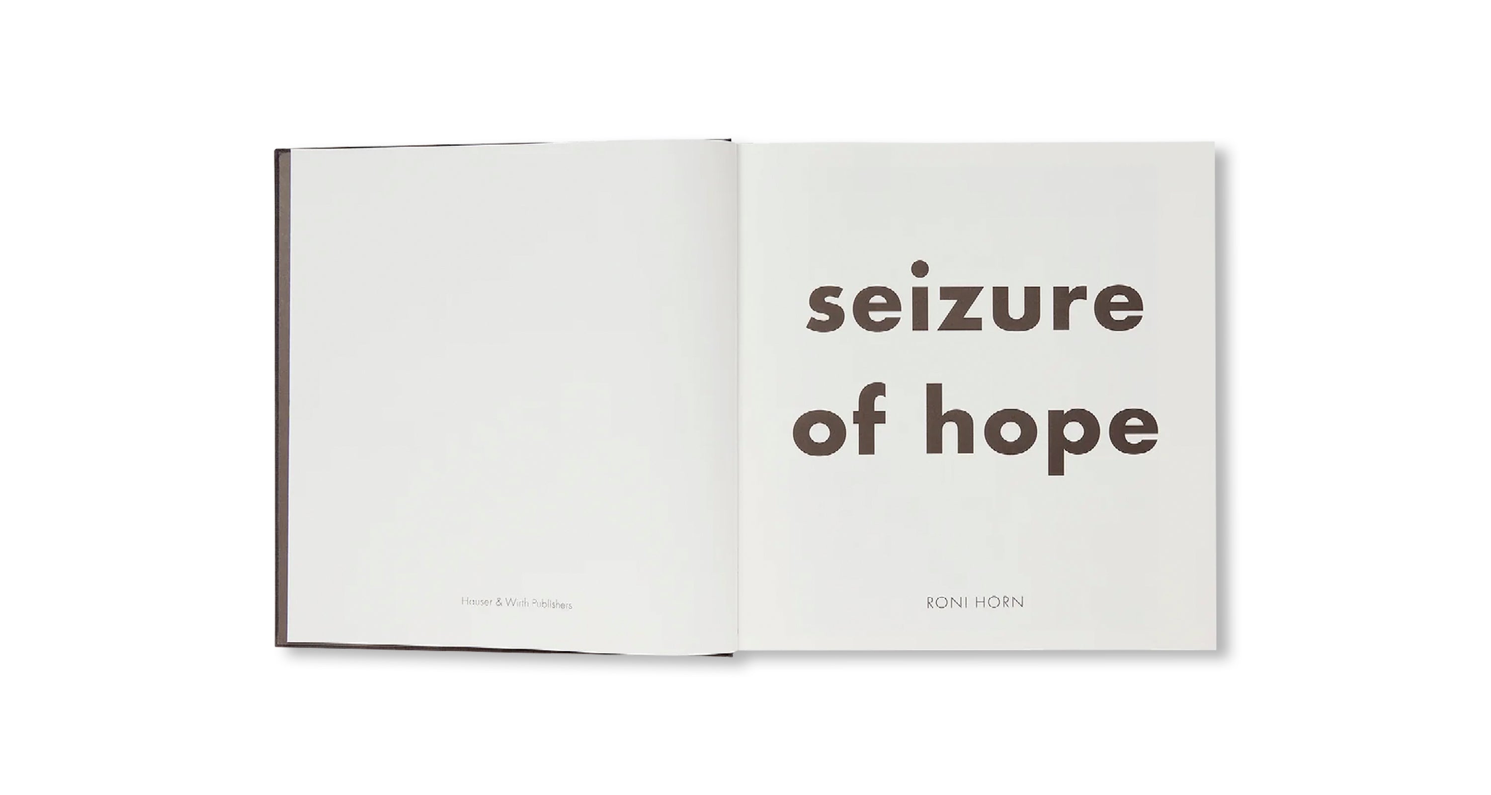 SEIZURE OF HOPE by Roni Horn