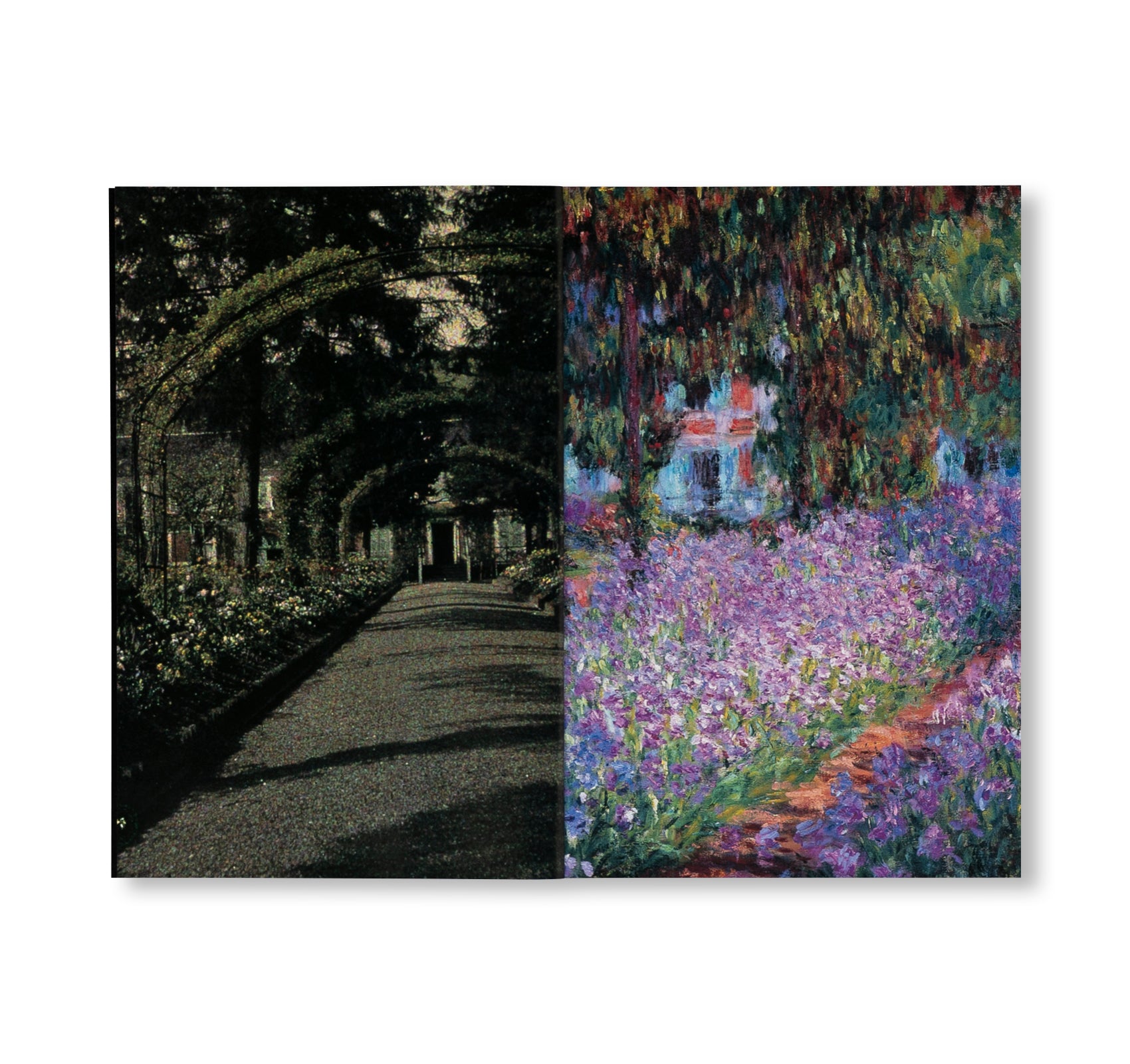 MONET: THE ULTIMATE IMPRESSIONIST (NEW HORIZONS) by Sylvie Patin