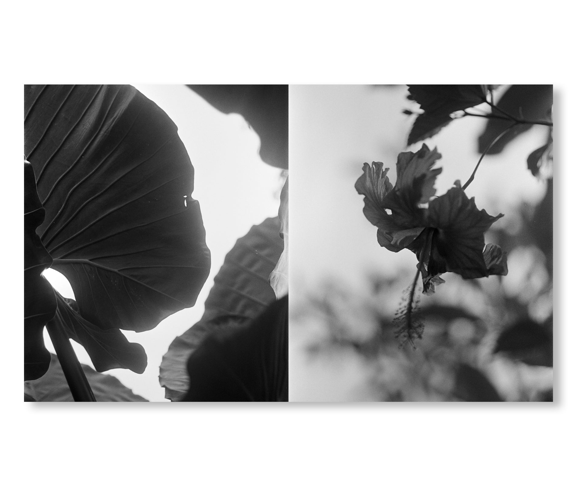 RUMAH RUBAH - A BALI HOME OF GILDAS LOAEC AND ROMY LOAEC - by Pierrot