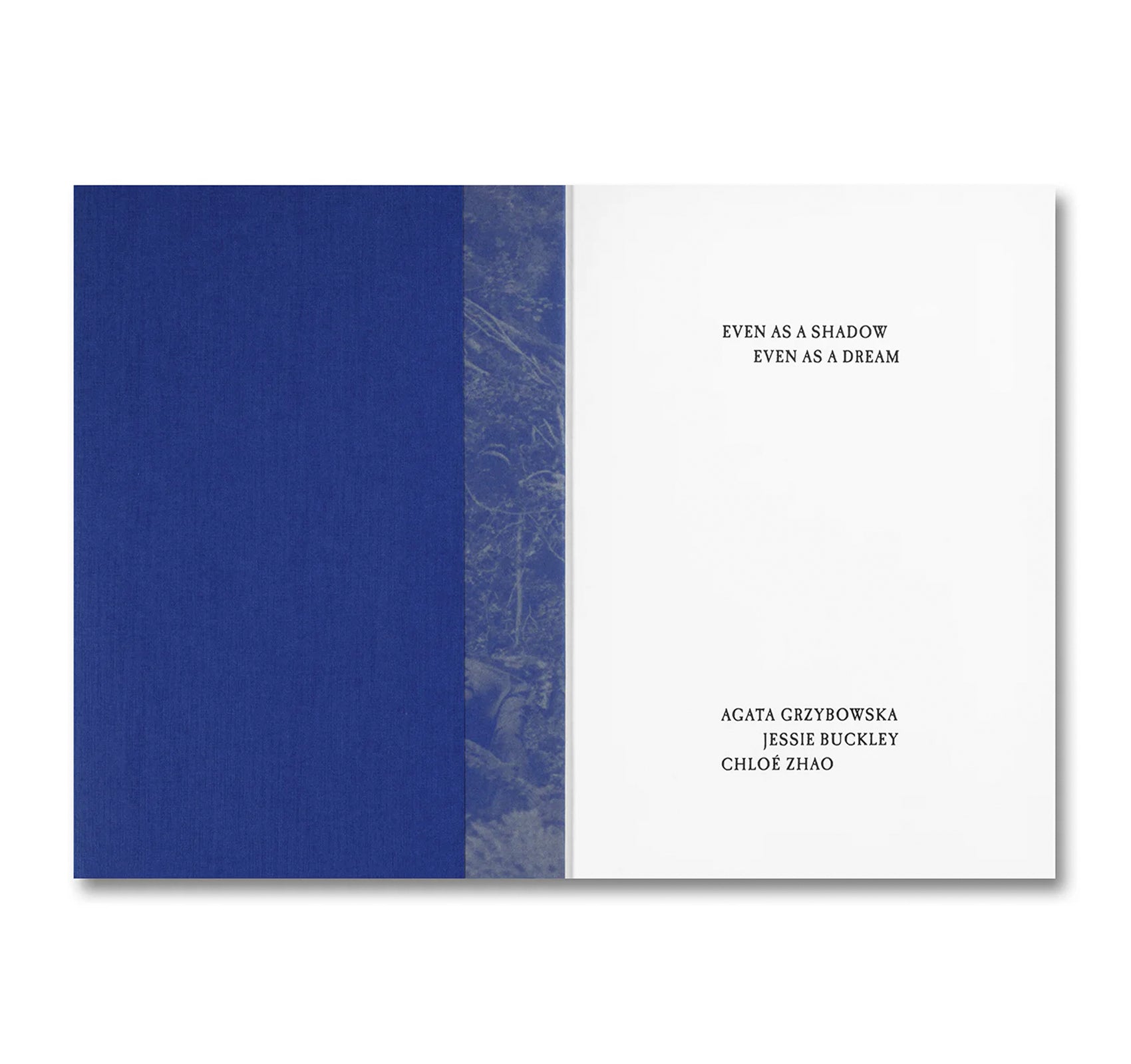 EVEN AS A SHADOW, EVEN AS A DREAM by Chloé Zhao, Jessie Buckley, Agata Grzybowska