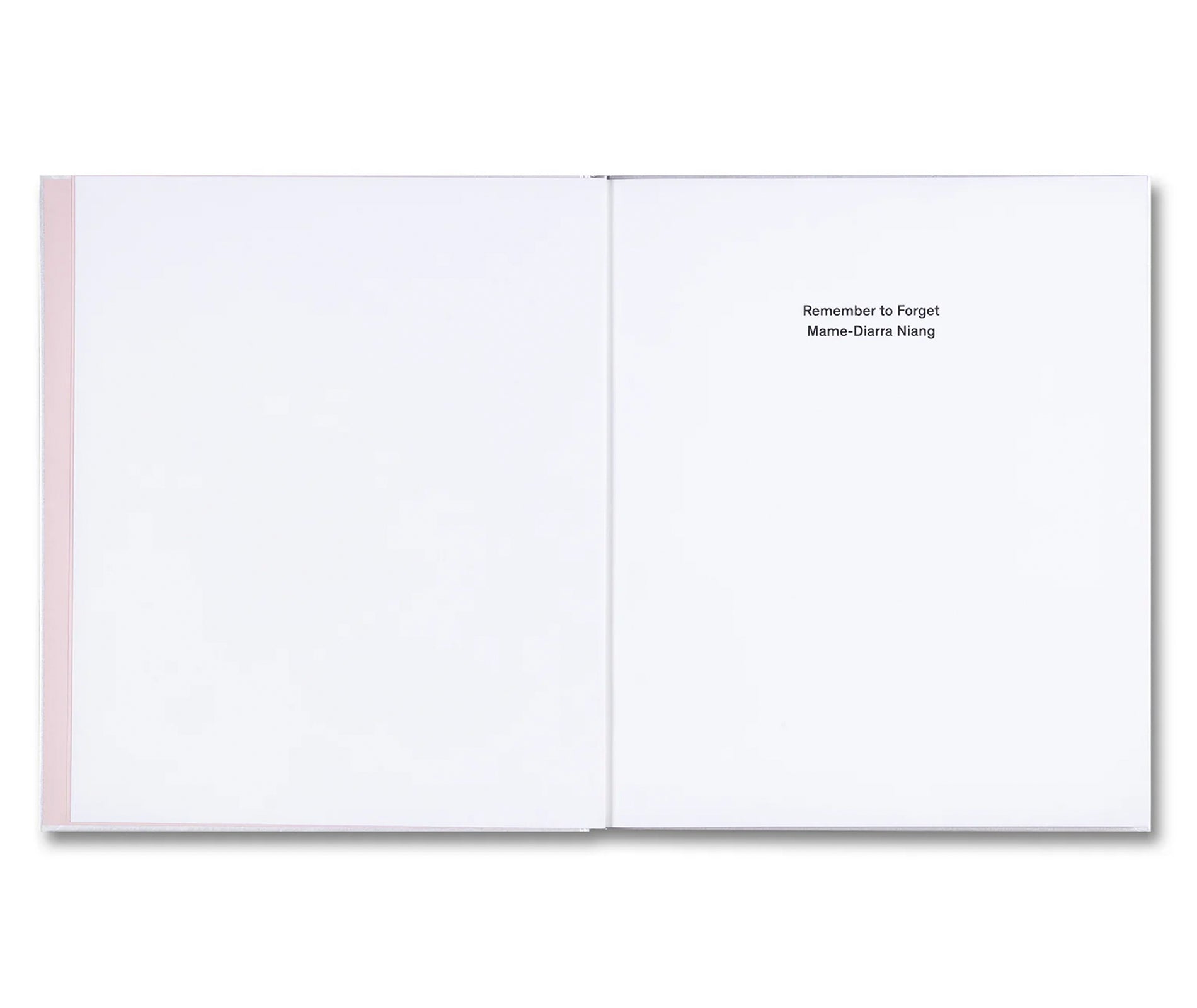REMEMBER TO FORGET by Mame-Diarra Niang [SIGNED]