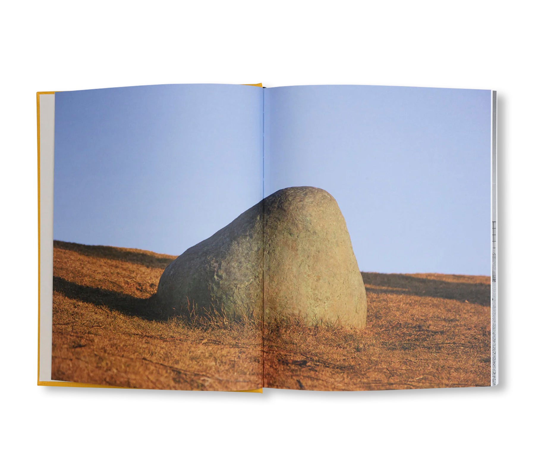 SOLANGE PESSOA (2020) by Solange Pessoa