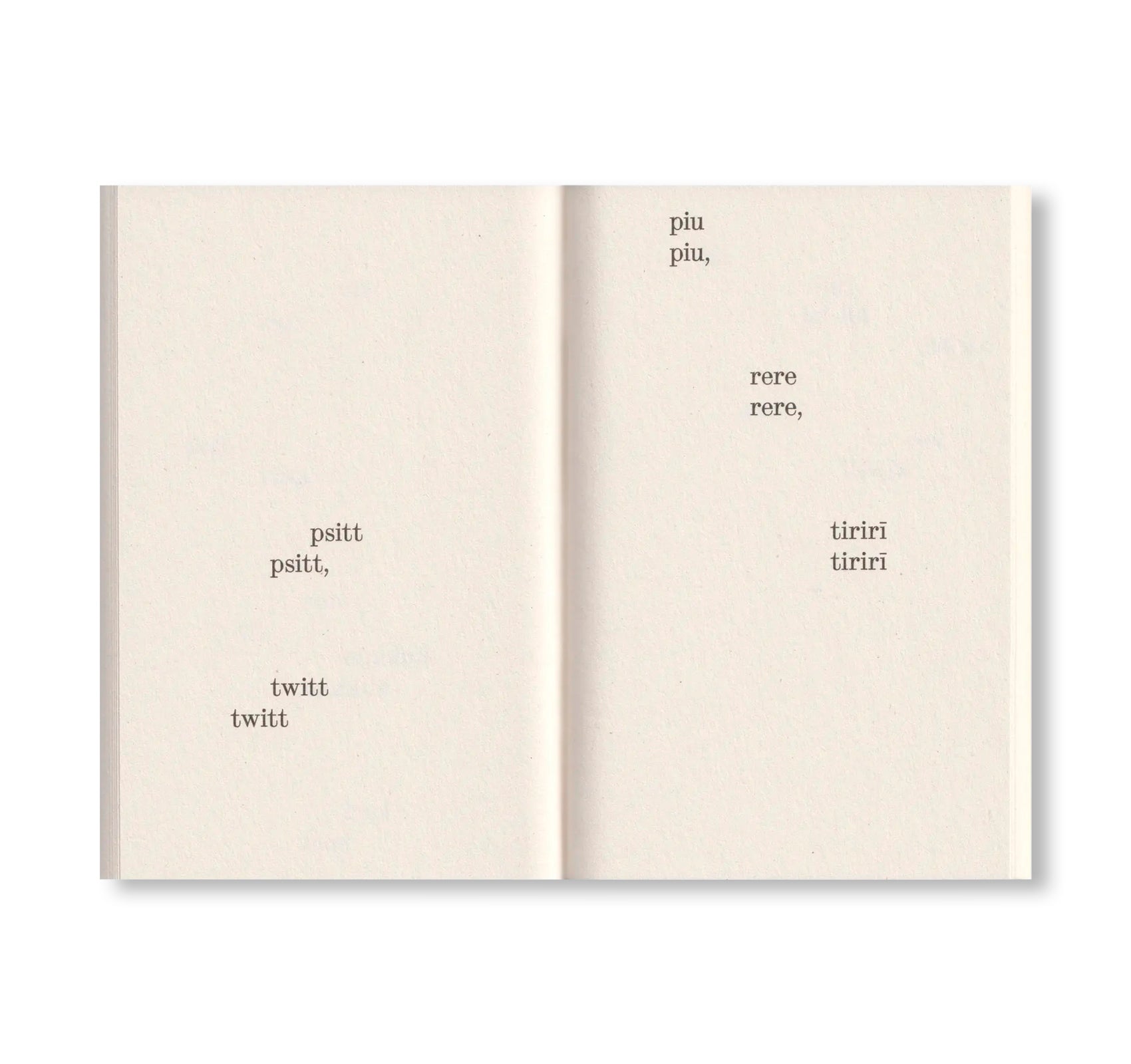 WHAT BIRDS SAY by Elfi Seidel