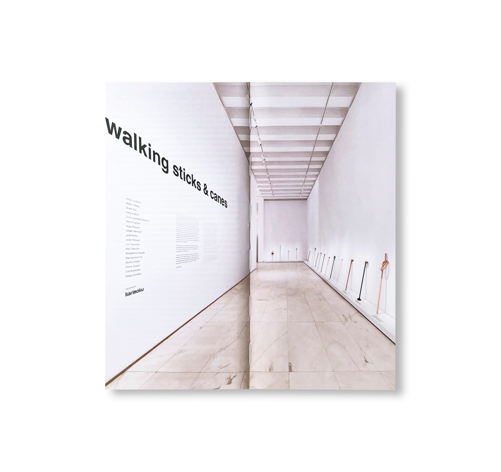 WALKING STICKS by Keiji Takeuchi, Marco Sammicheli
