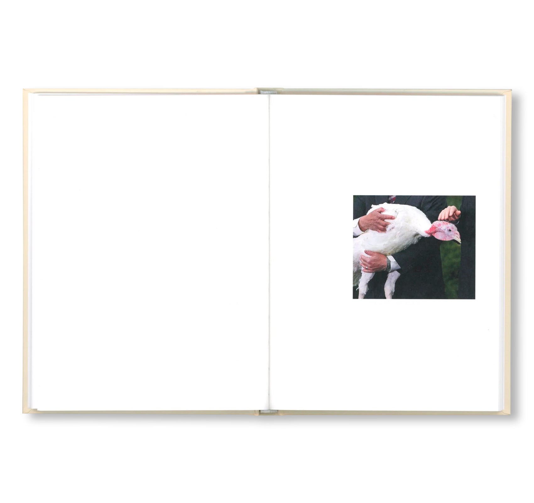 PARDON ME by Gardar Eide Einarsson