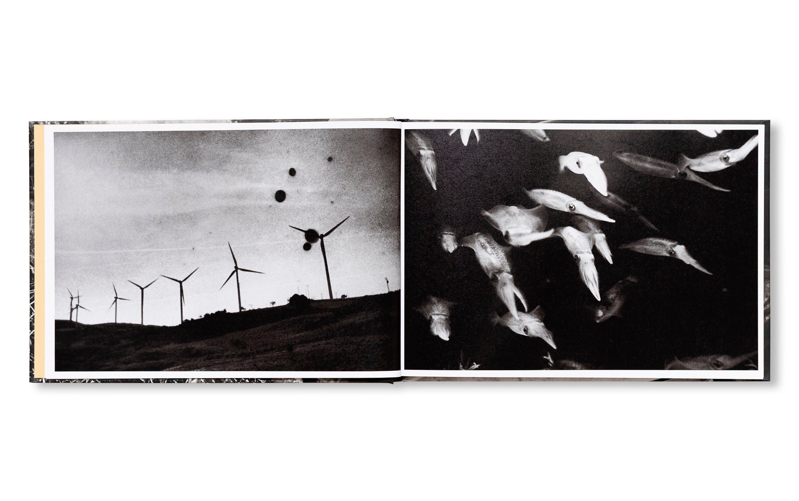 IN THE FLAP OF A BIRD'S WING, WATER DRIES UP by Eriko Masaoka