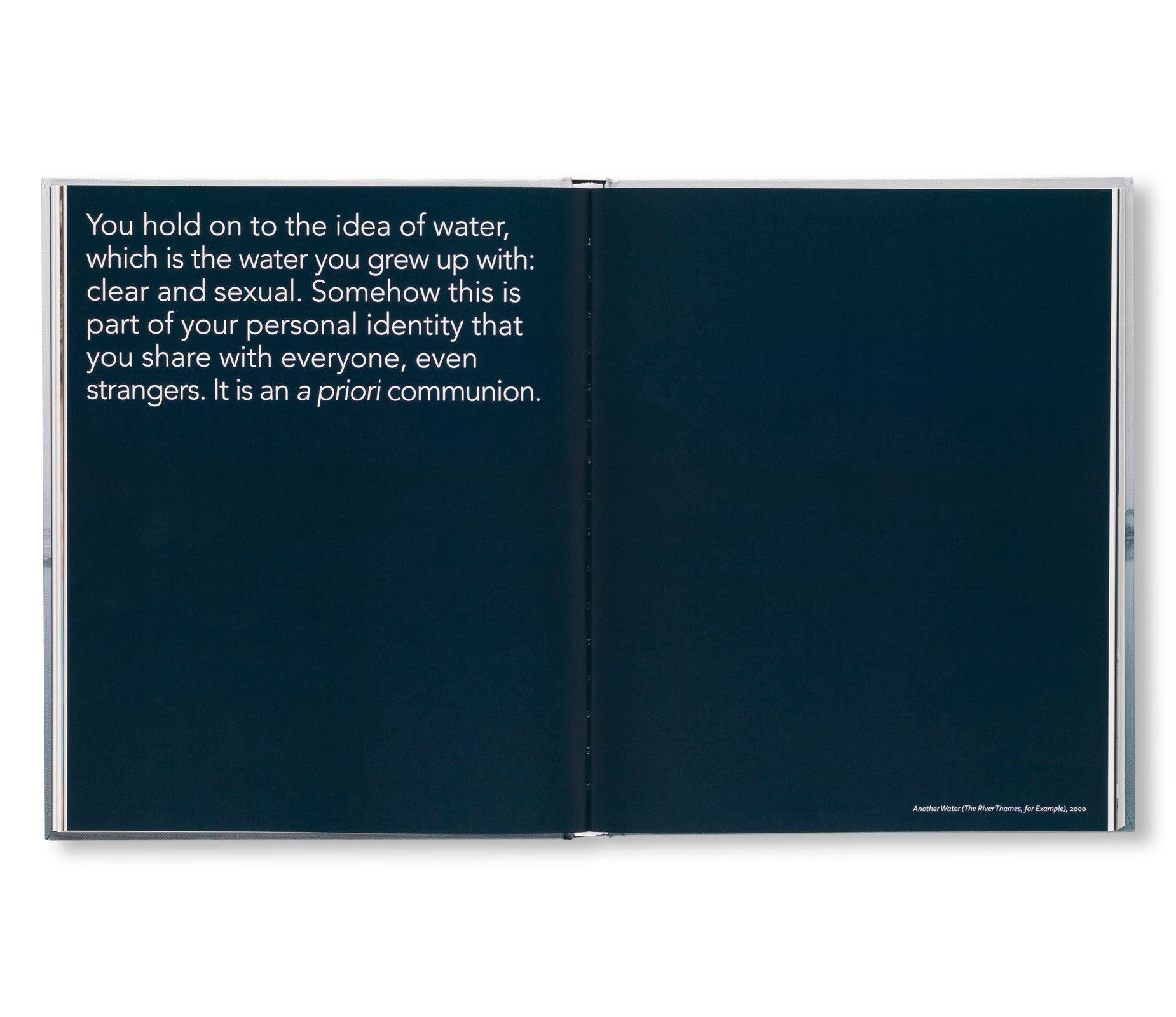 RONI HORN: WATER WATER ON THE WALL, YOU’RE THE FAIREST OF THEM ALL by Roni Horn