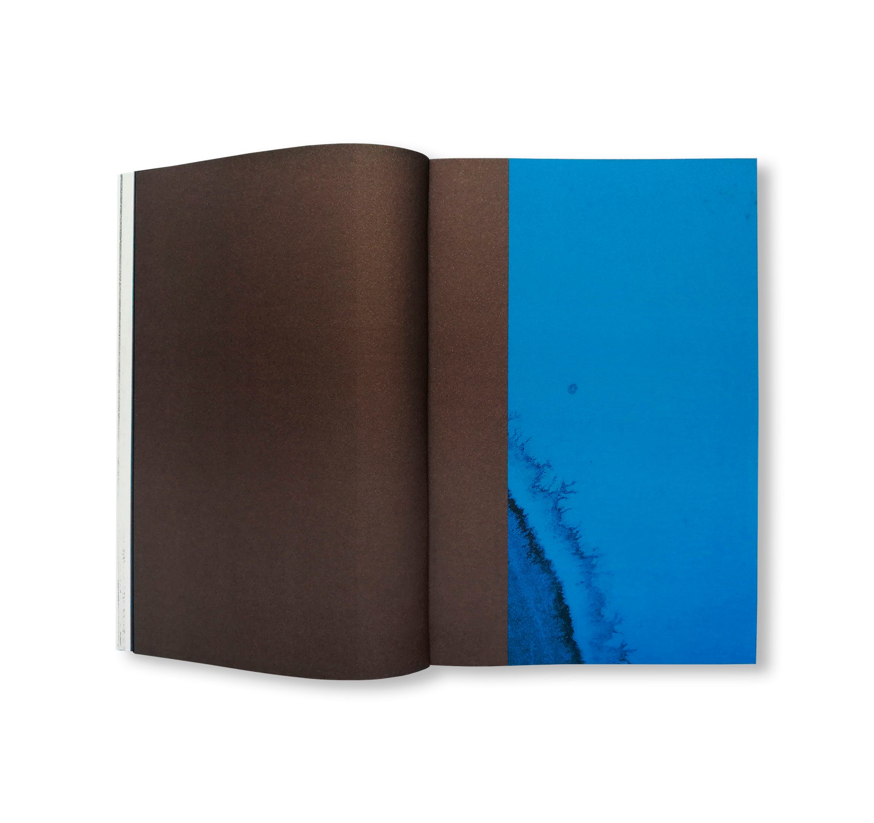 H.A.D. – [HALF A DOG] by Johannes Tassilo Walter