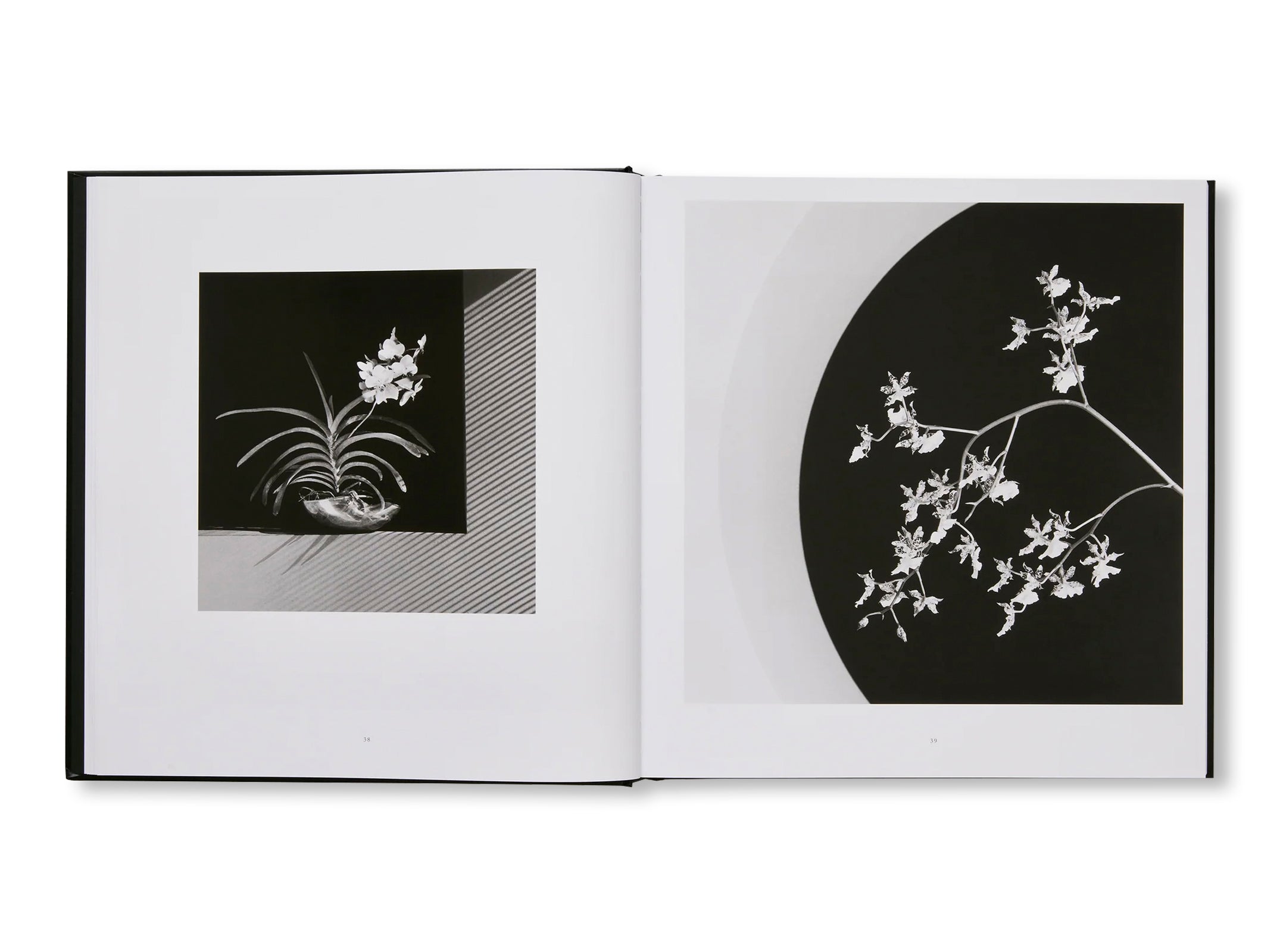 MAPPLETHORPE FLORA: THE COMPLETE FLOWERS by Robert Mapplethorpe