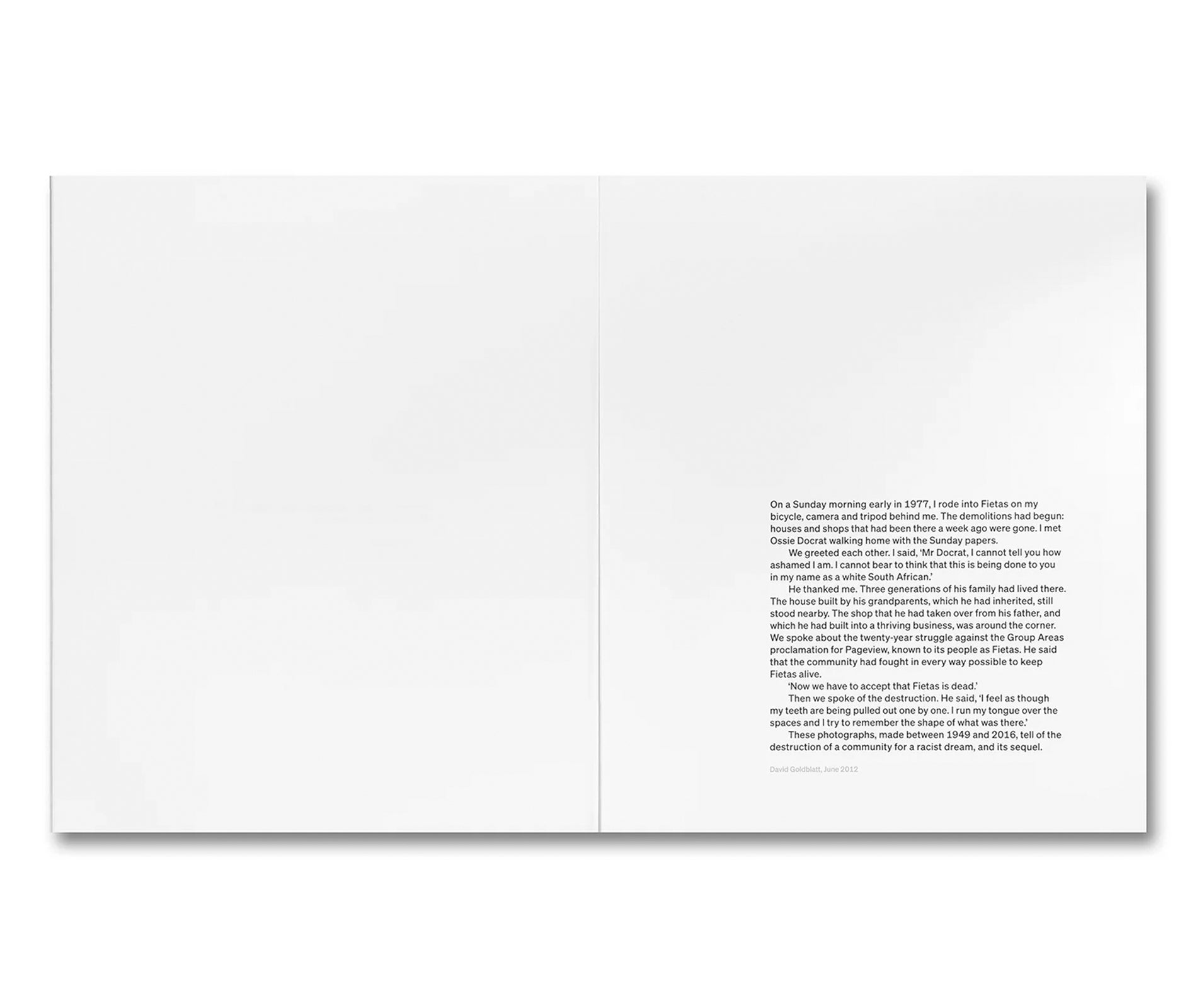 FRAGMENTS OF FIETAS by David Goldblatt
