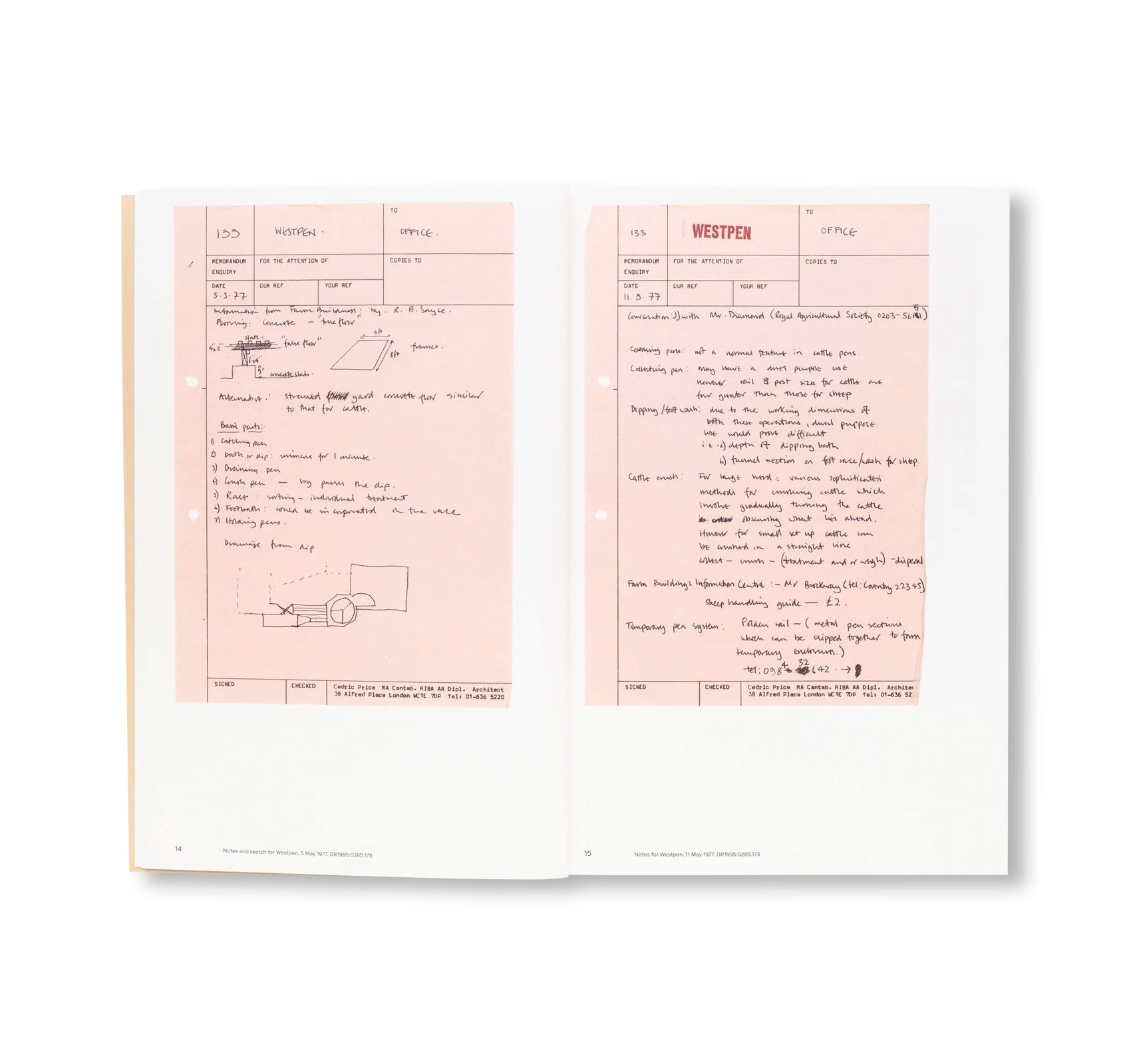 IS THERE A KNOWN OPTIMUM GATE SIZE FOR THE DUAL CONTROL OF CATTLE AND SHEEP? by Sofia Nannini