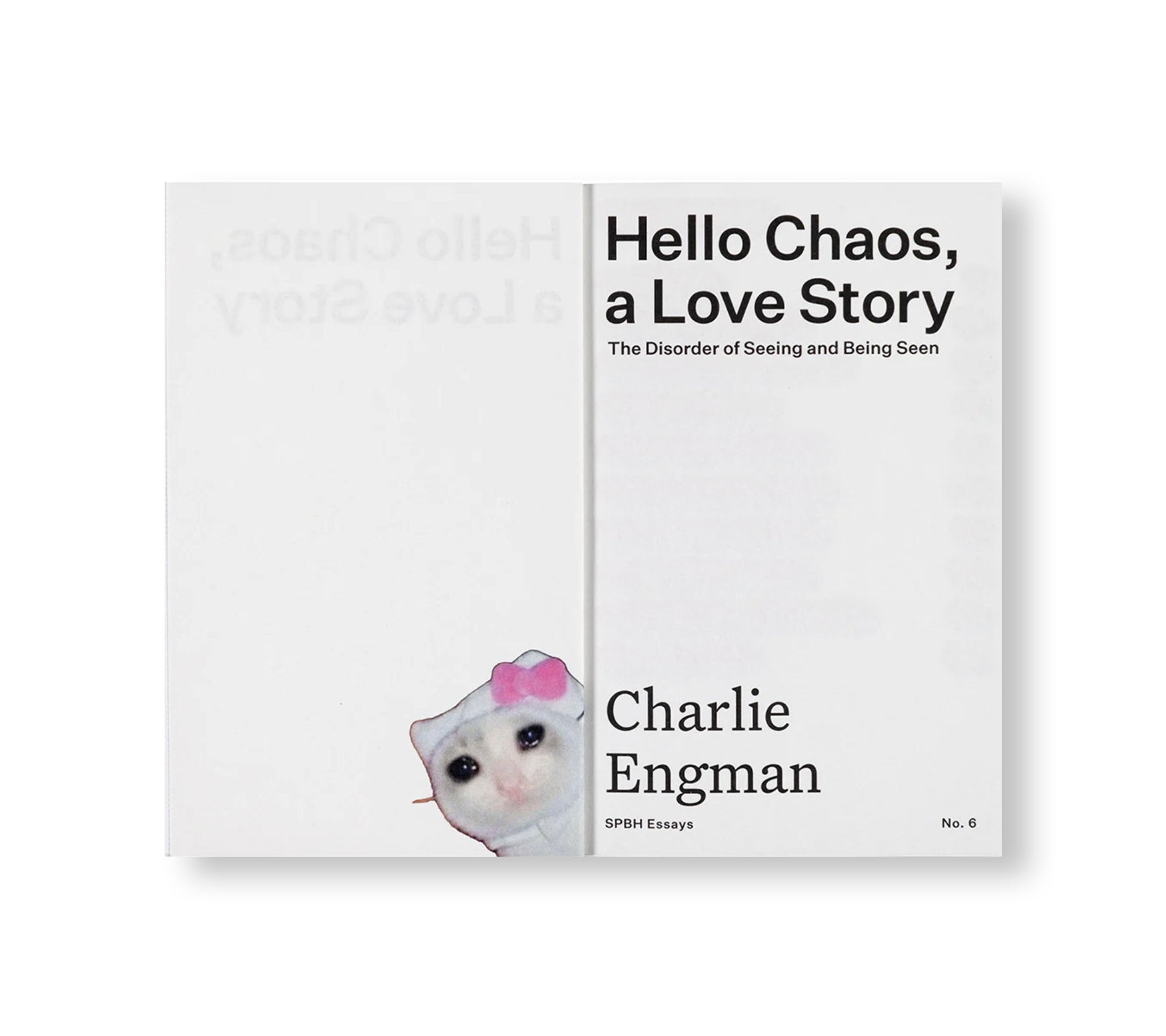 HELLO CHAOS, A LOVE STORY: THE DISORDER OF SEEING AND BEING SEEN by Charlie Engman [SIGNED]