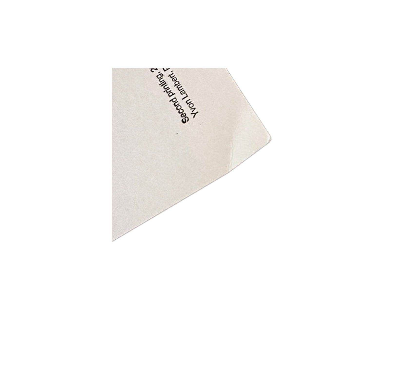 THREE DIALOGUES.2 PRINT (1977) by Cy Twombly [REPRINTED EDITION / SALE]