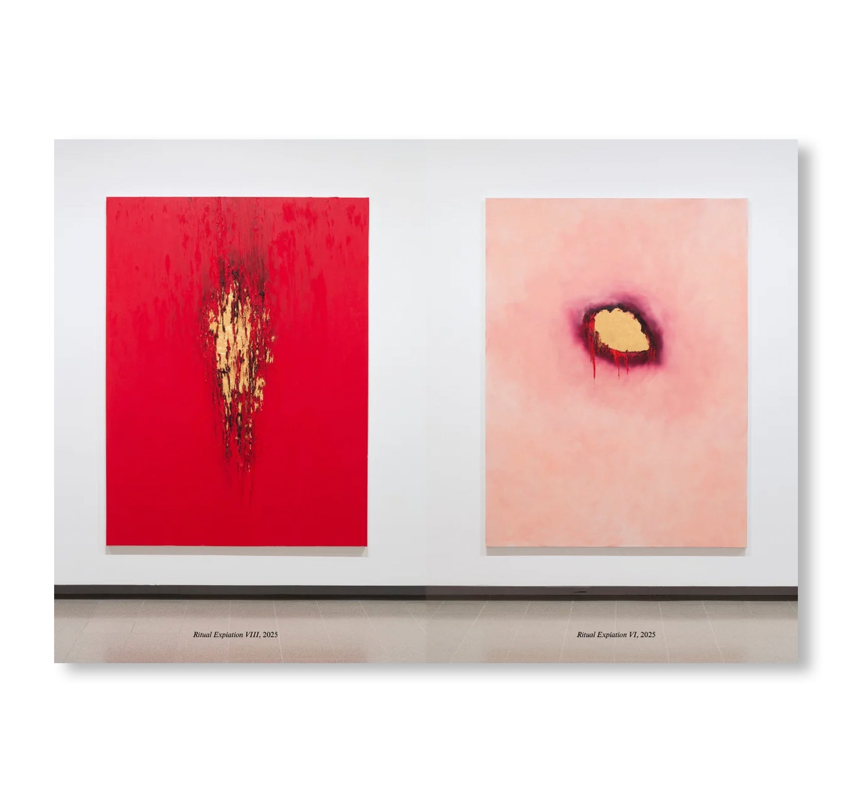 ANISH KAPOOR by Anish Kapoor (HAYWARD GALLERY PUBLISHING)