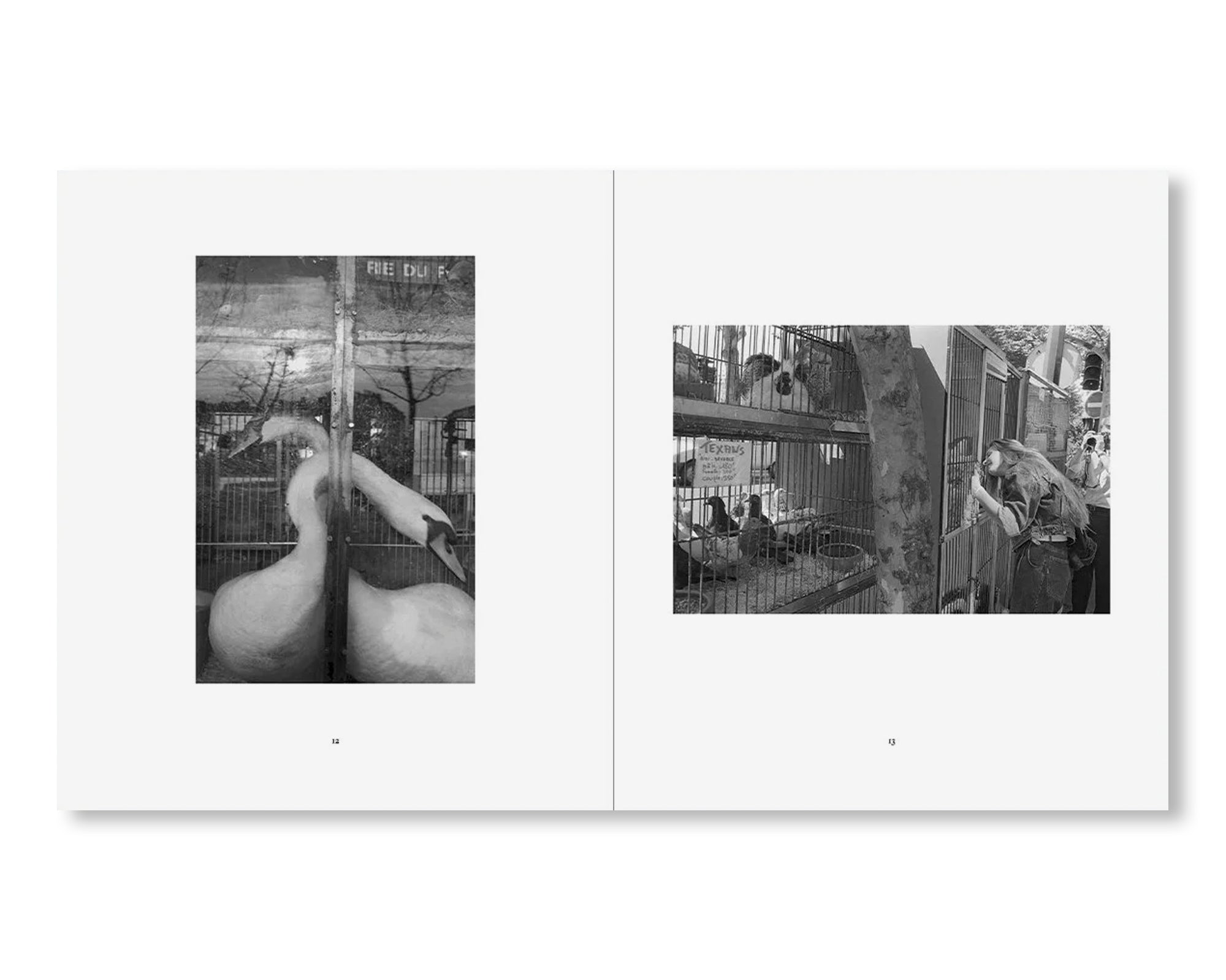 FRANCE 1987 by Mark Steinmetz [SPECIAL EDITION]