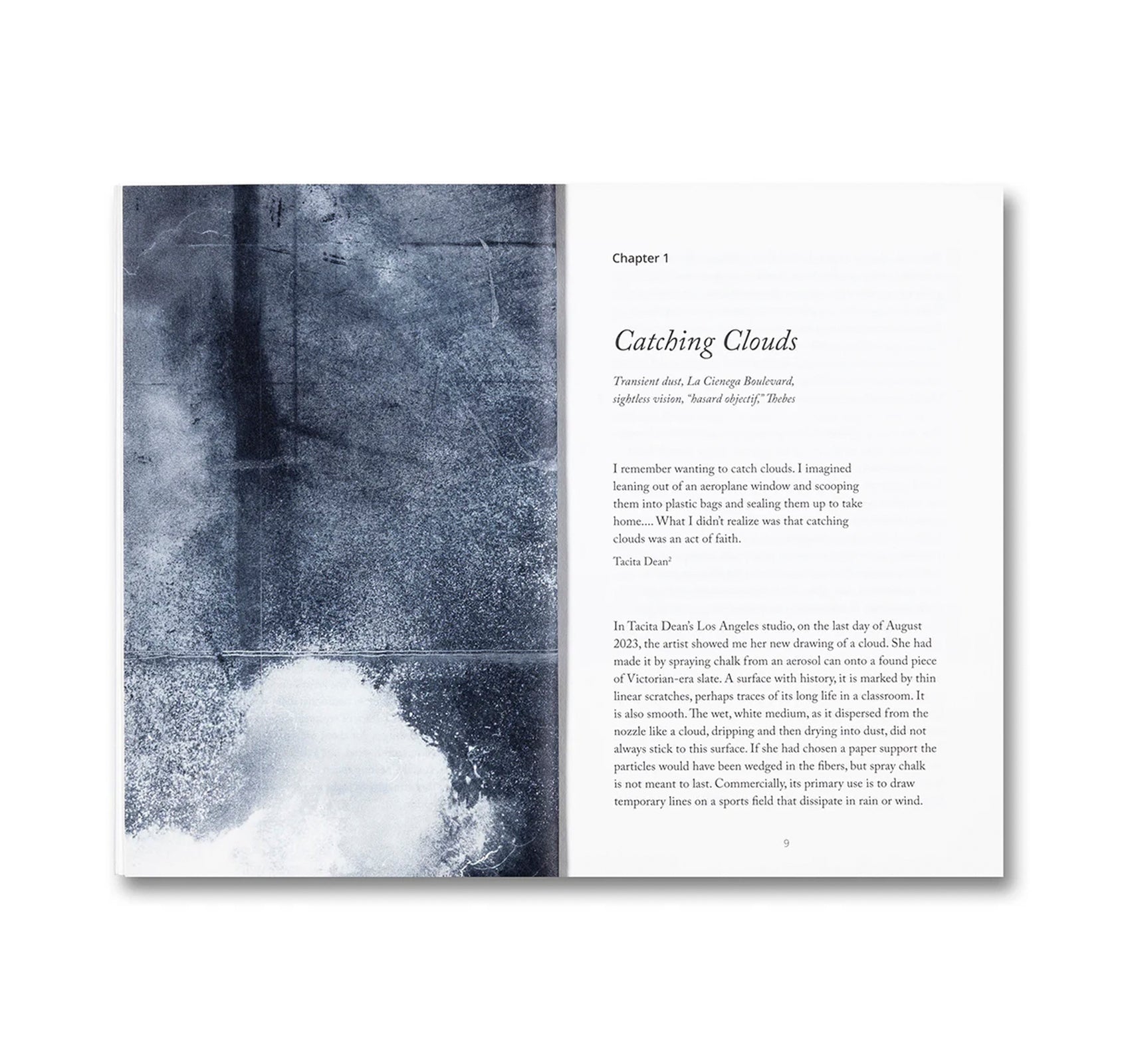 BLIND FOLLY OR HOW TACITA DEAN DRAWS by Michelle White, Tacita Dean