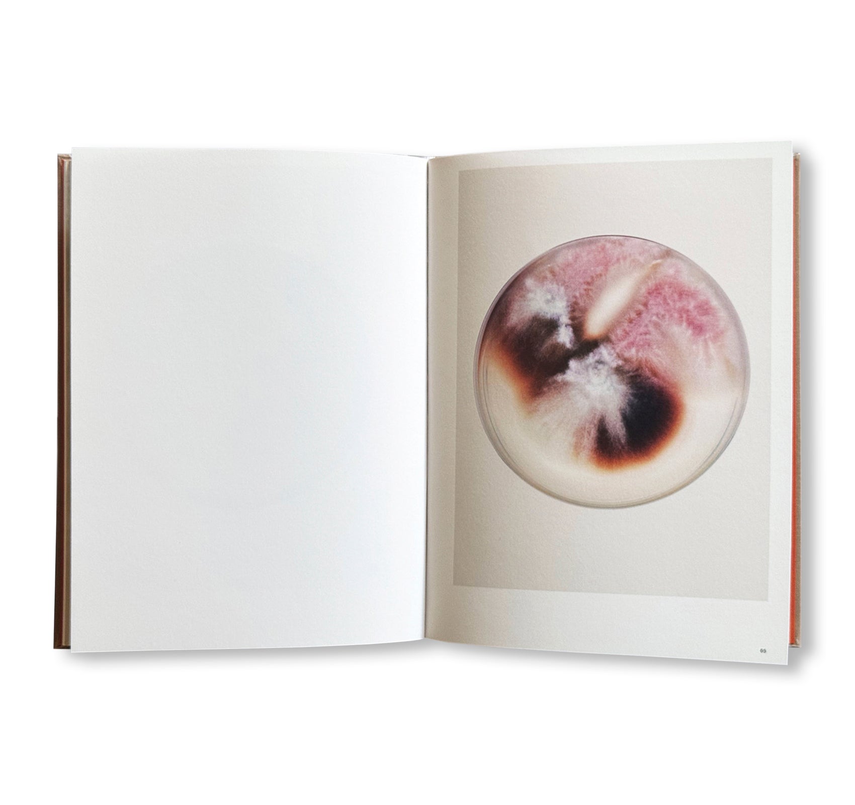 THE OUTER INNER WORLD by Nicolai Howalt