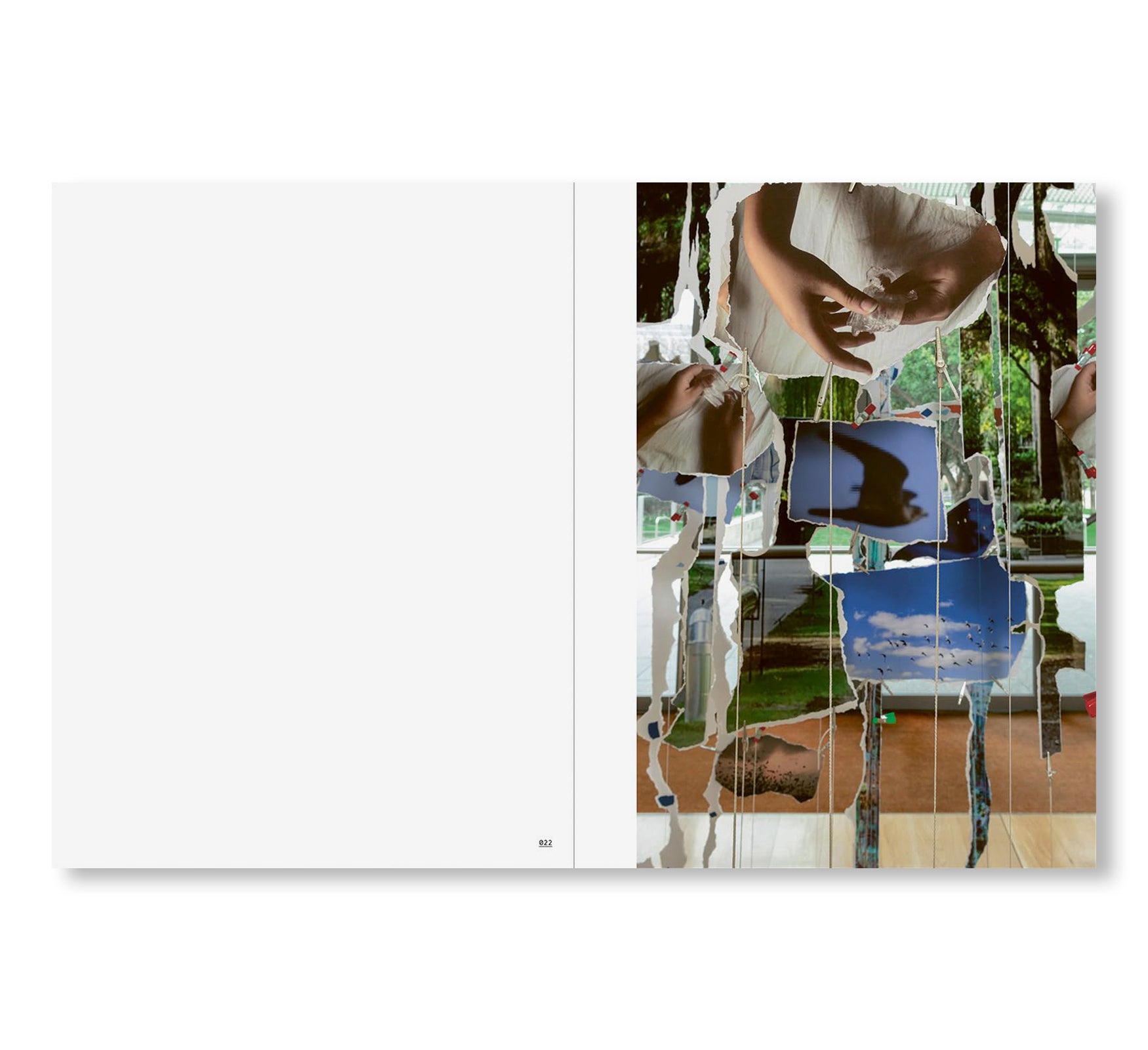 SARAH SZE by Sarah Sze