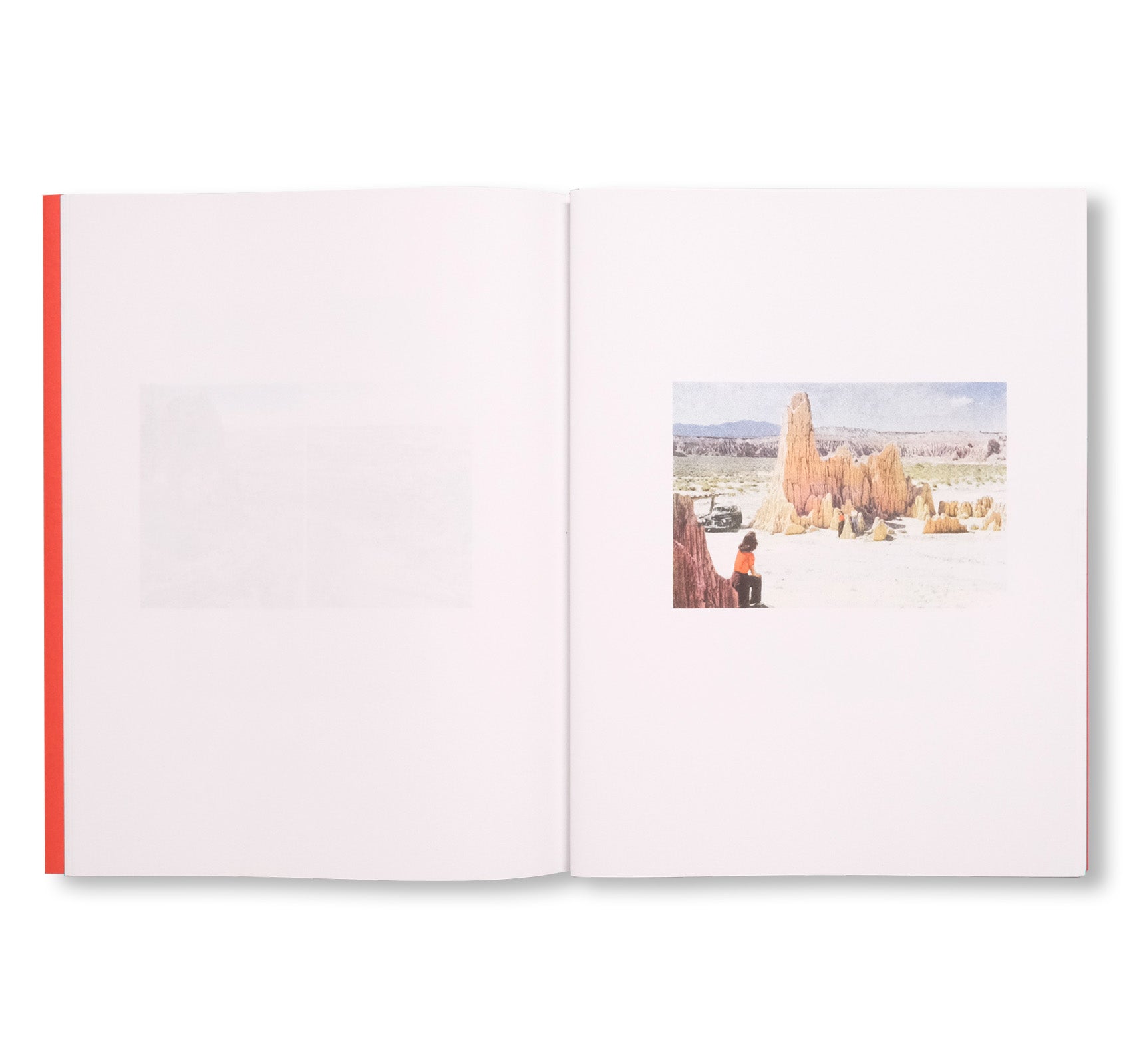 COLOUR THEORY by Max Pinckers & Victoria Gonzalez-Figueras [SIGNED]