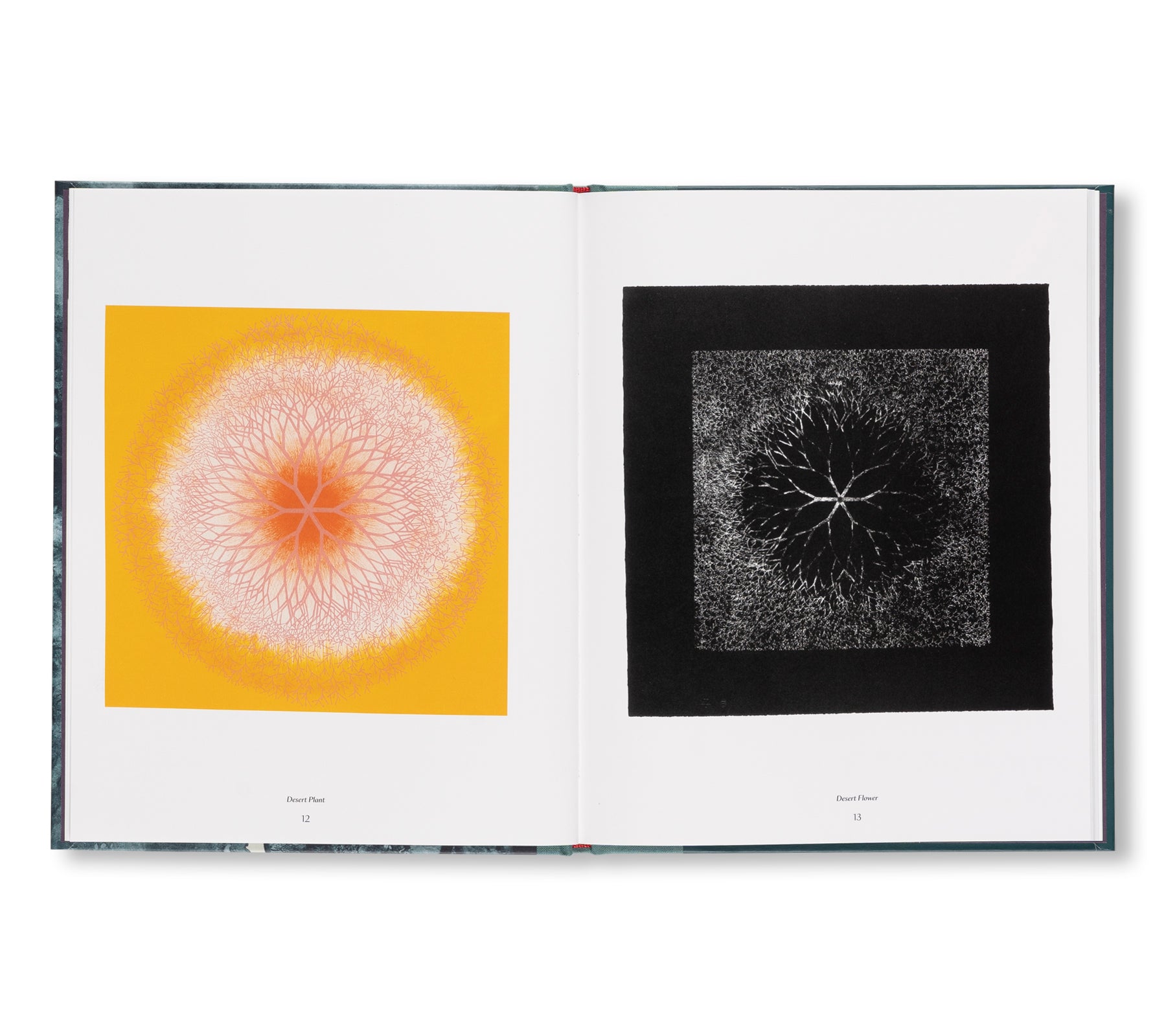 THE TAMARIND PRINTS by Ruth Asawa