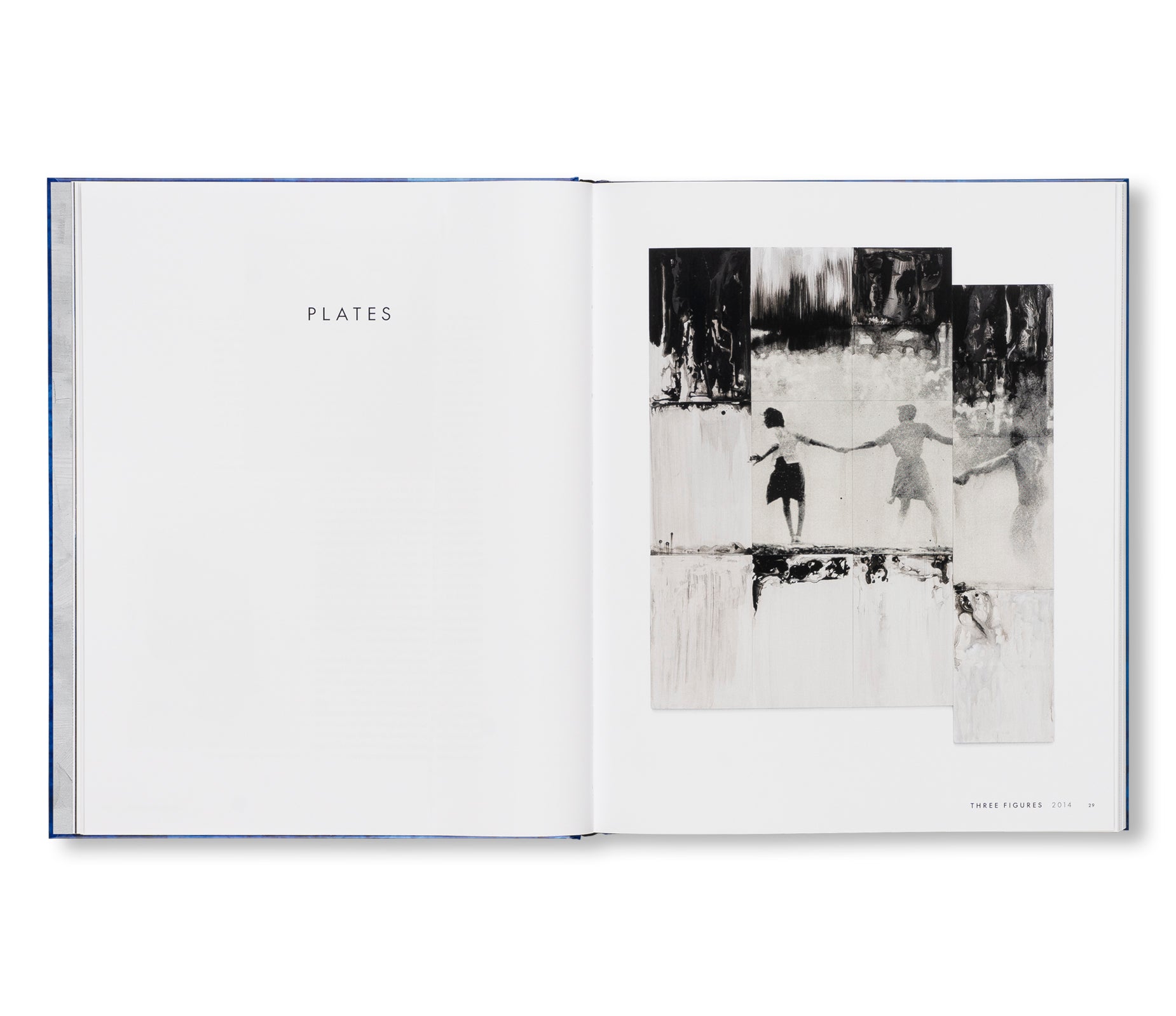 SOURCE NOTES by Lorna Simpson