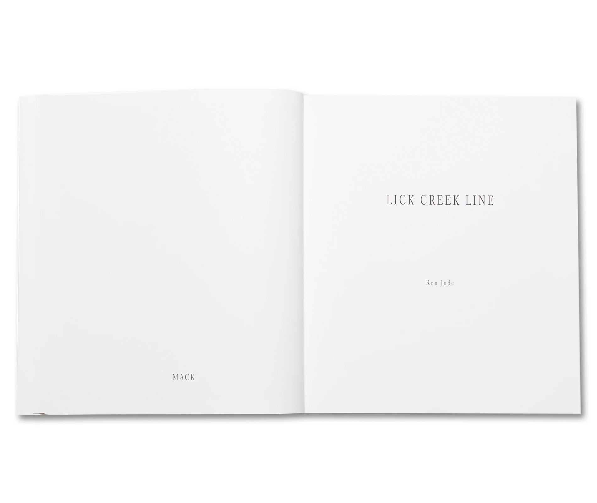 LICK CREEK LINE by Ron Jude