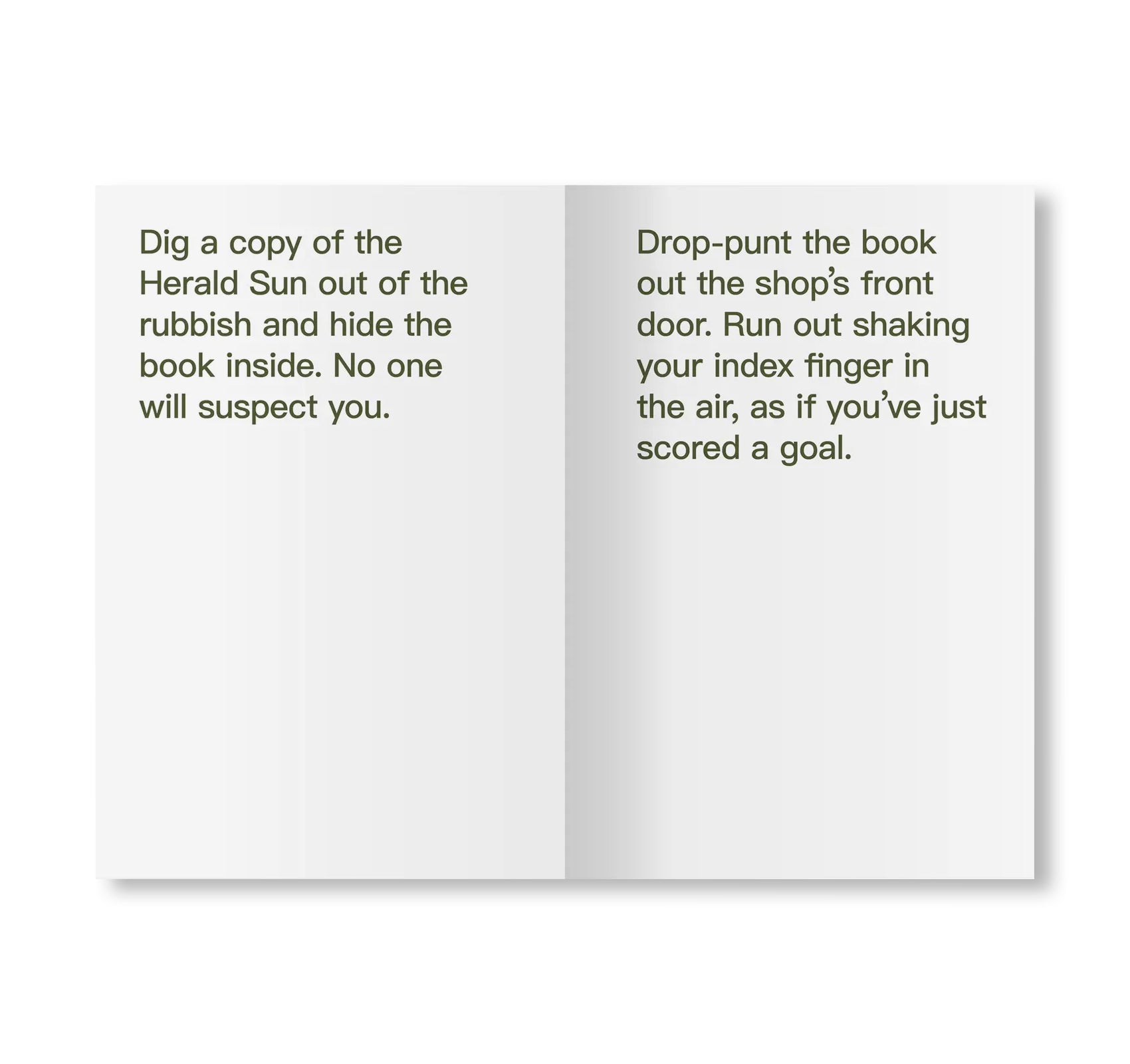 EIGHTY WAYS TO STEAL A BOOK by David Horvitz