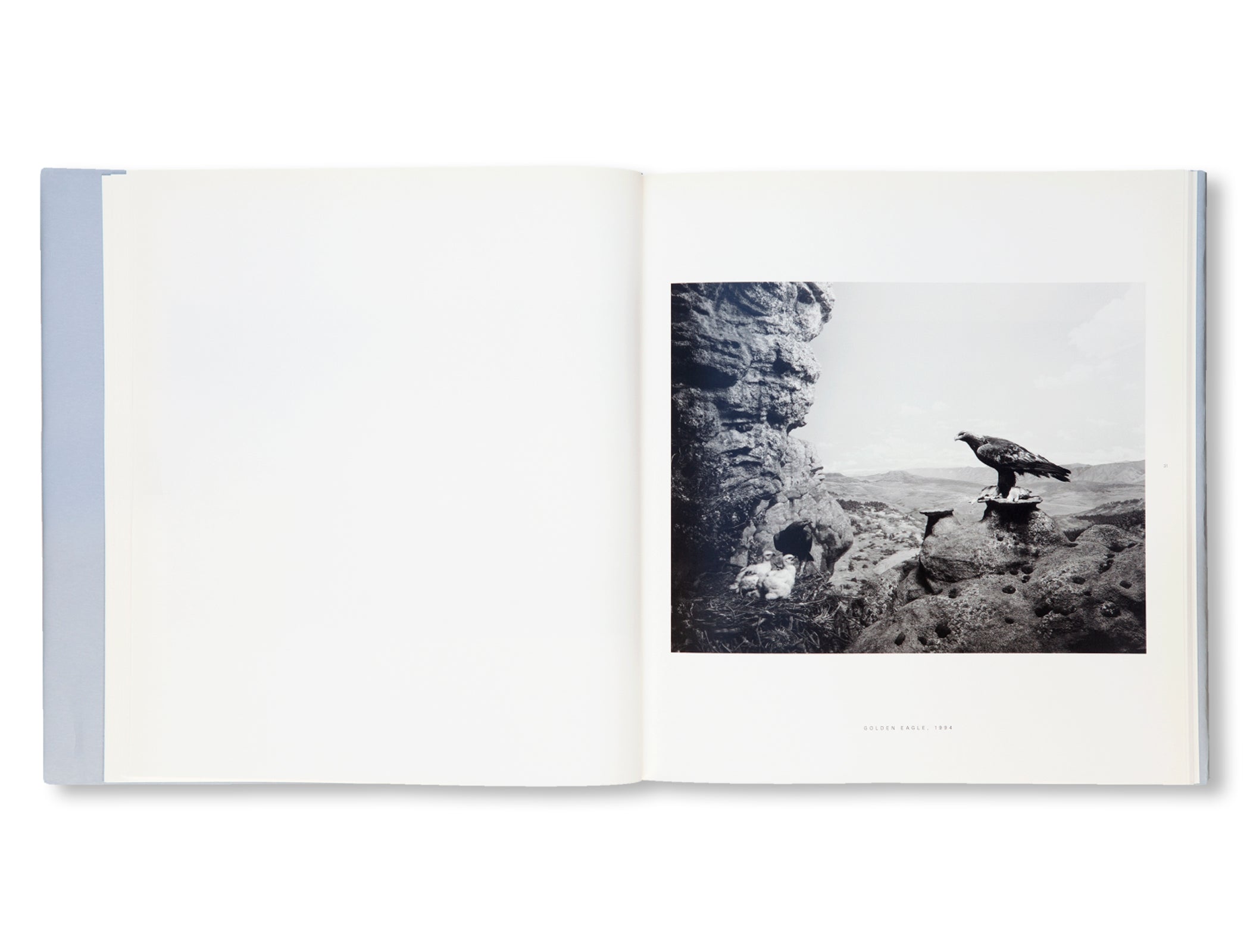 DIORAMAS by Hiroshi Sugimoto
