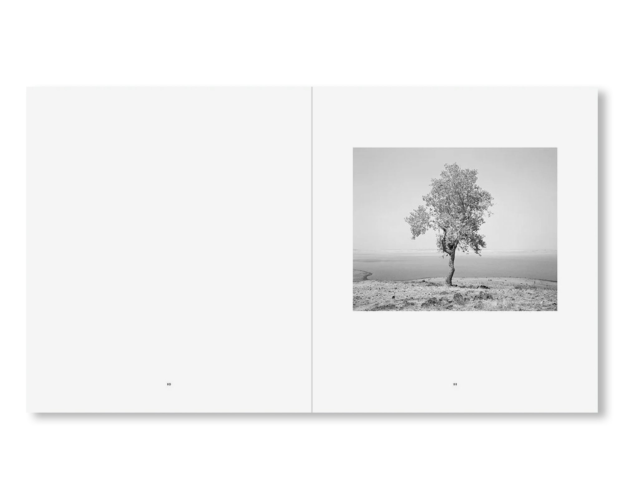 THE RESERVOIR by Mimi Plumb