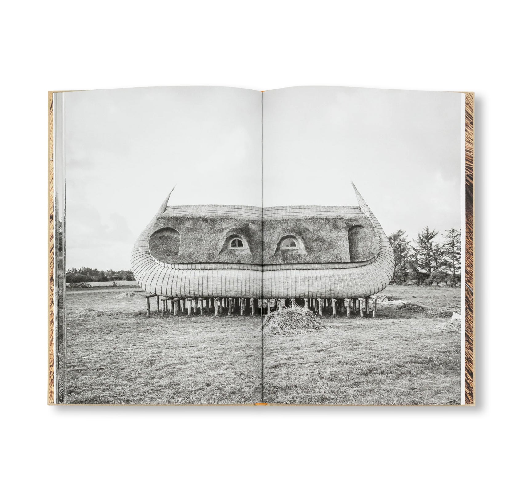 SIMON STARLING: A HOUSEBOAT FOR HO by Simon Starling