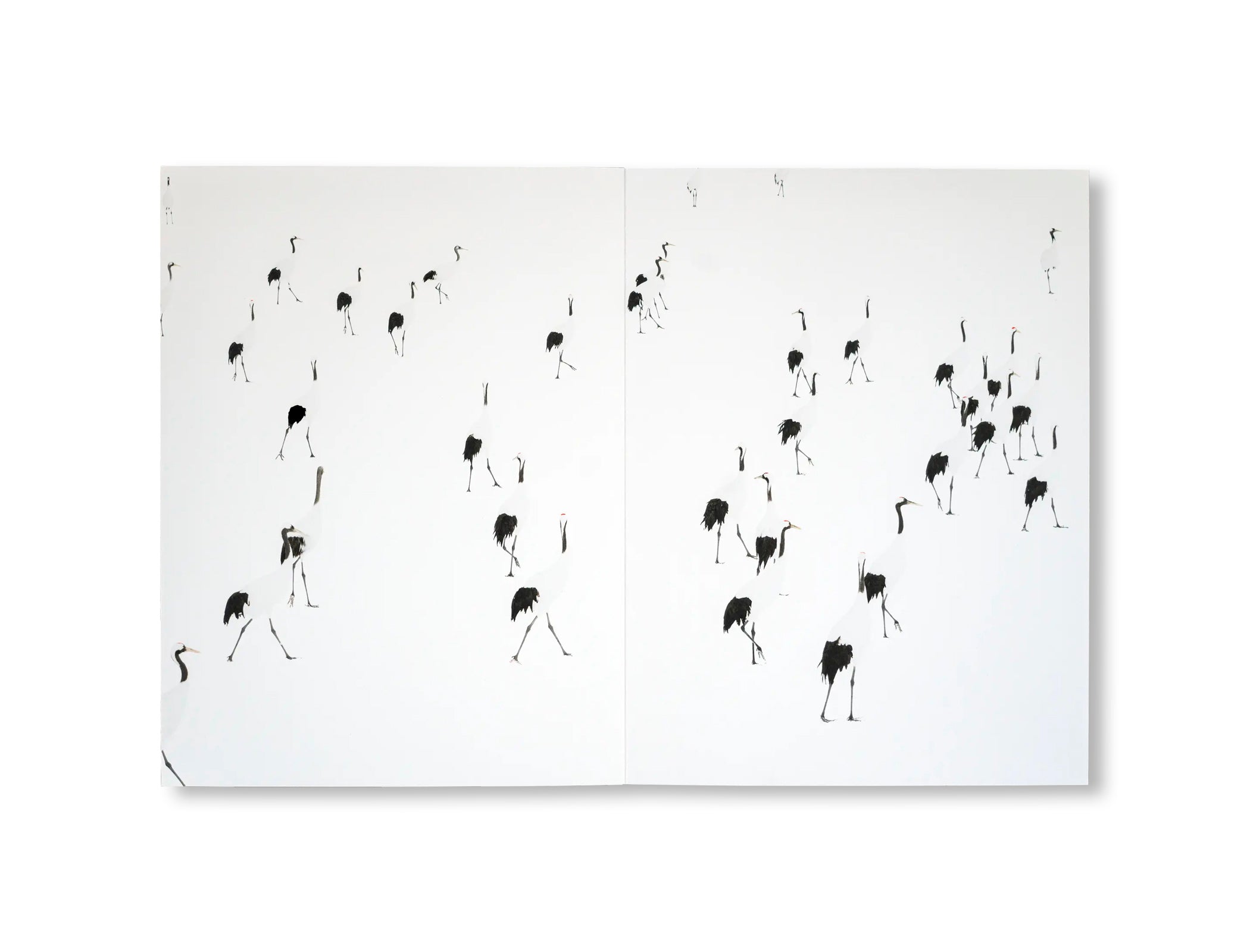 THE RED-CROWNED CRANE & THE END OF THE WORLD by Peter Granser