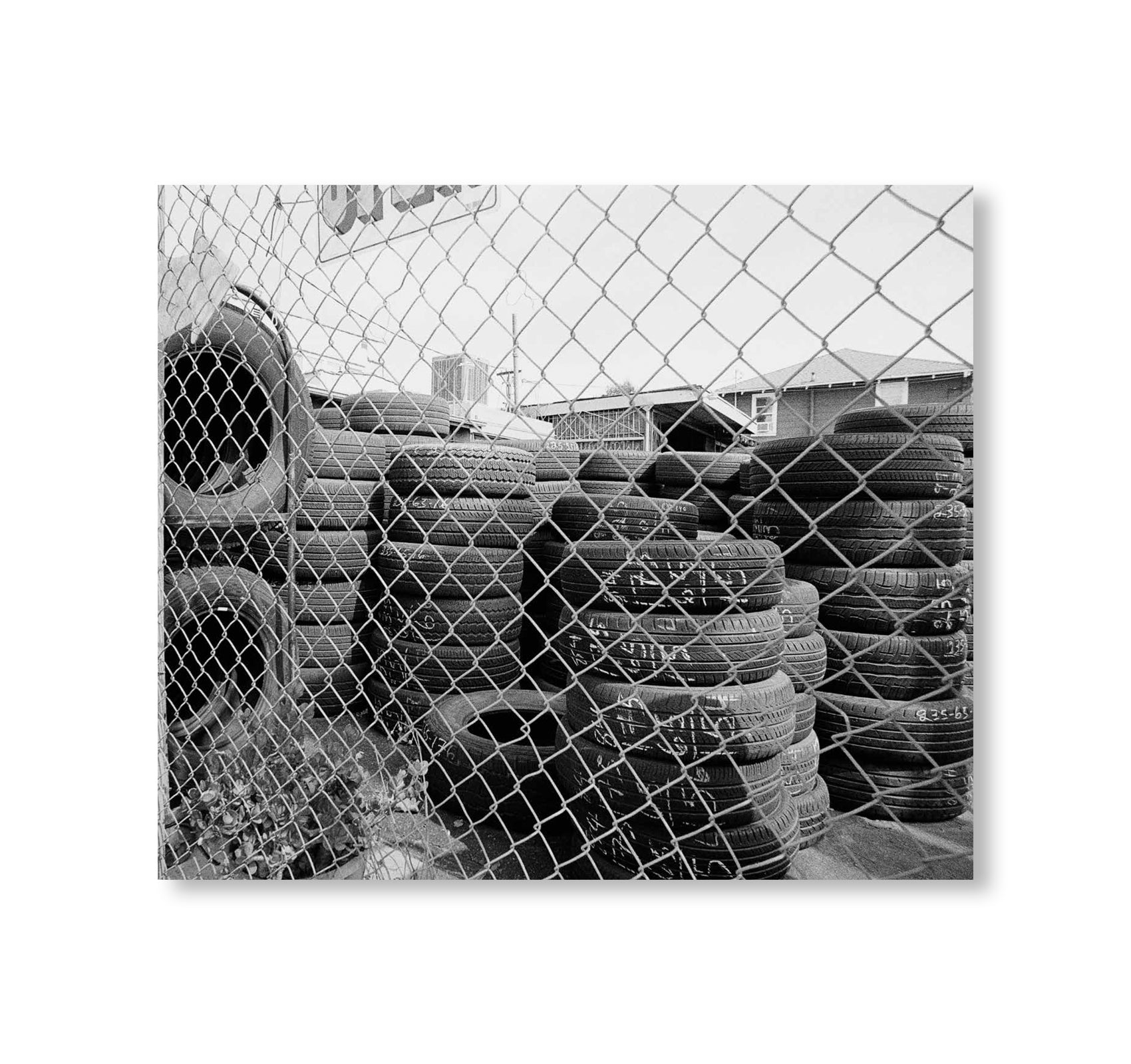 TIRES OF LOS ANGELES by Avo Tavitian [SIGNED]