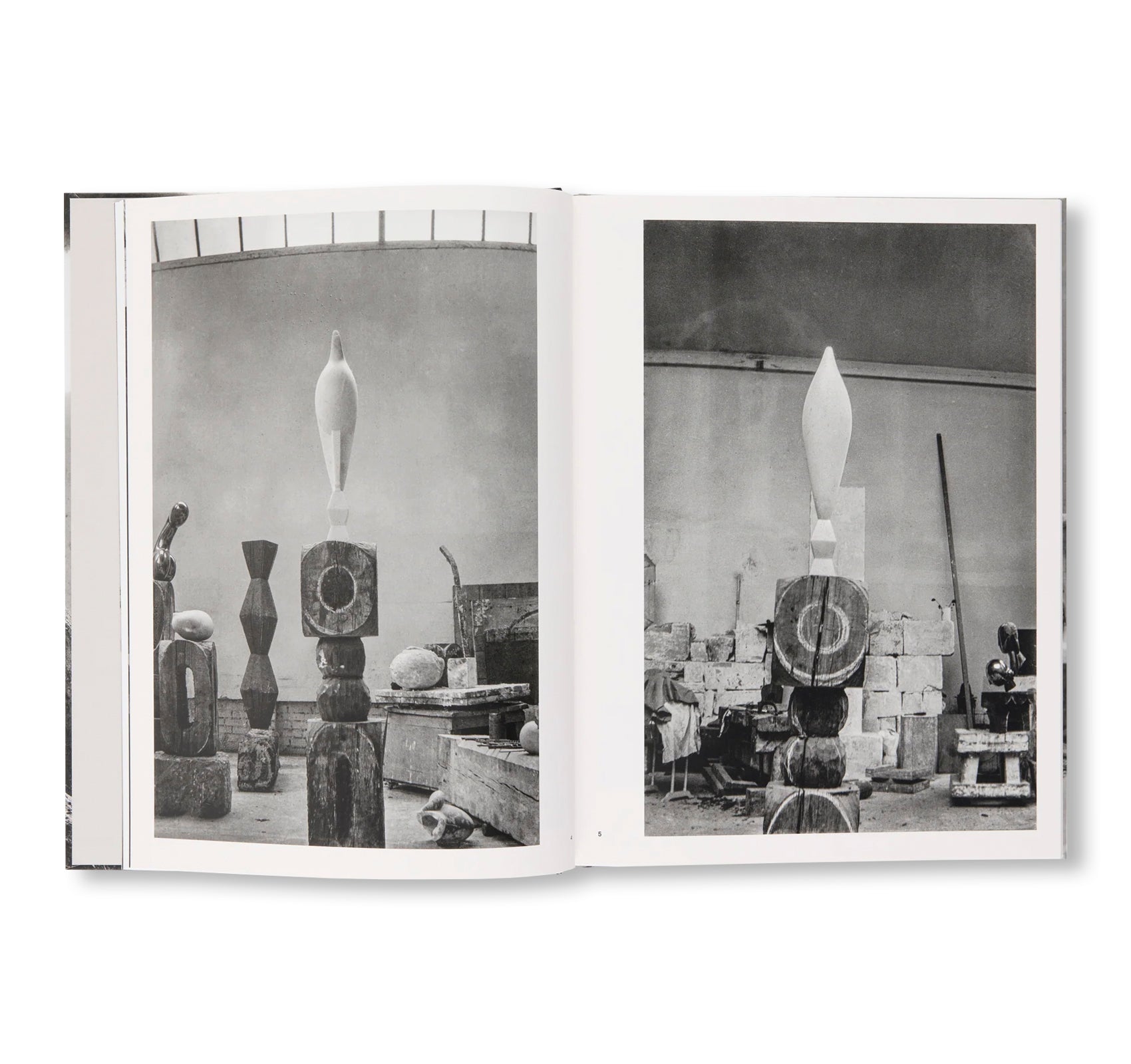 BRANCUSI: THE ARTIST AND HIS STUDIO by Constantin Brancusi