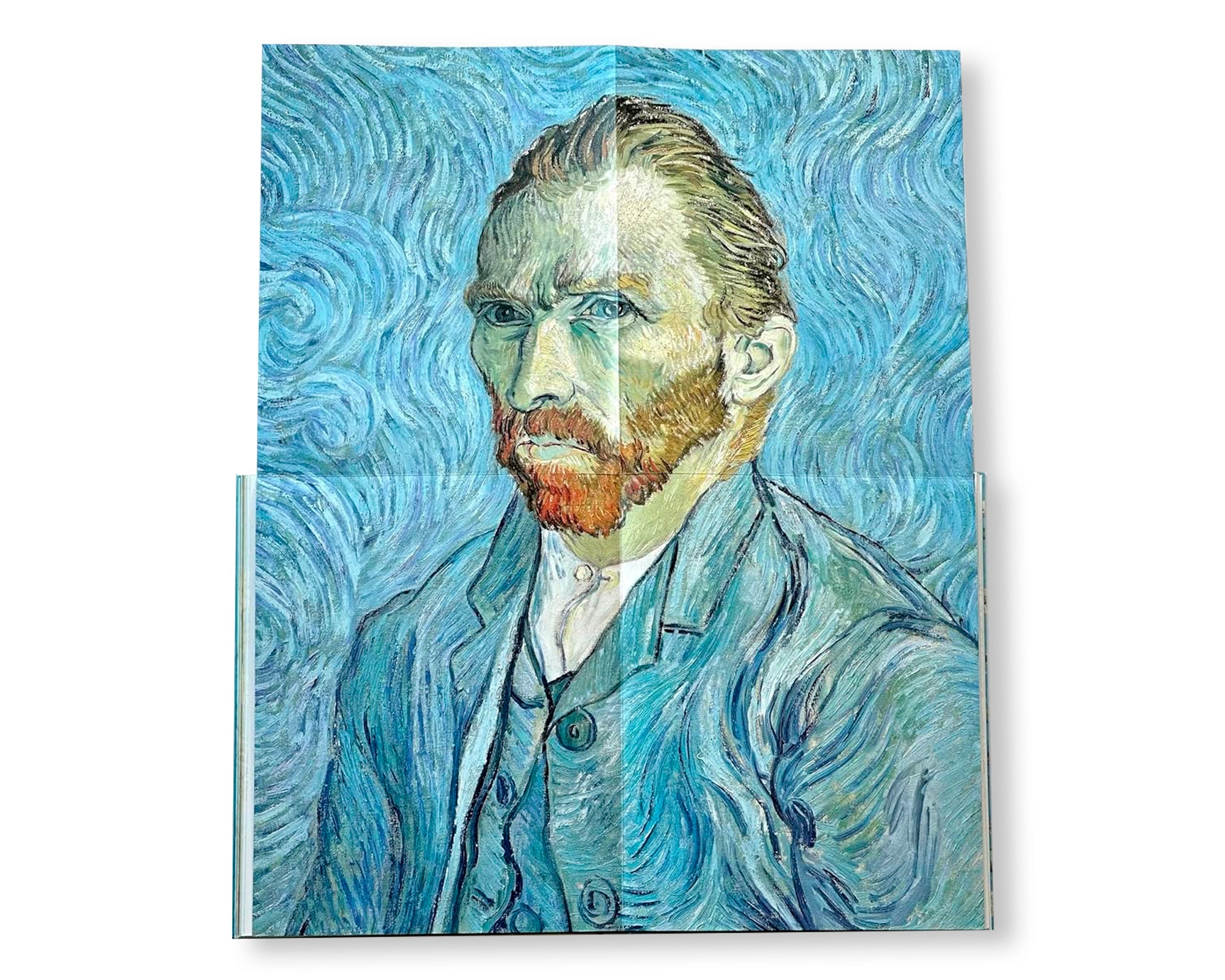 VAN GOGH - THE BIGGER PICTURE by Anne Sefrioui