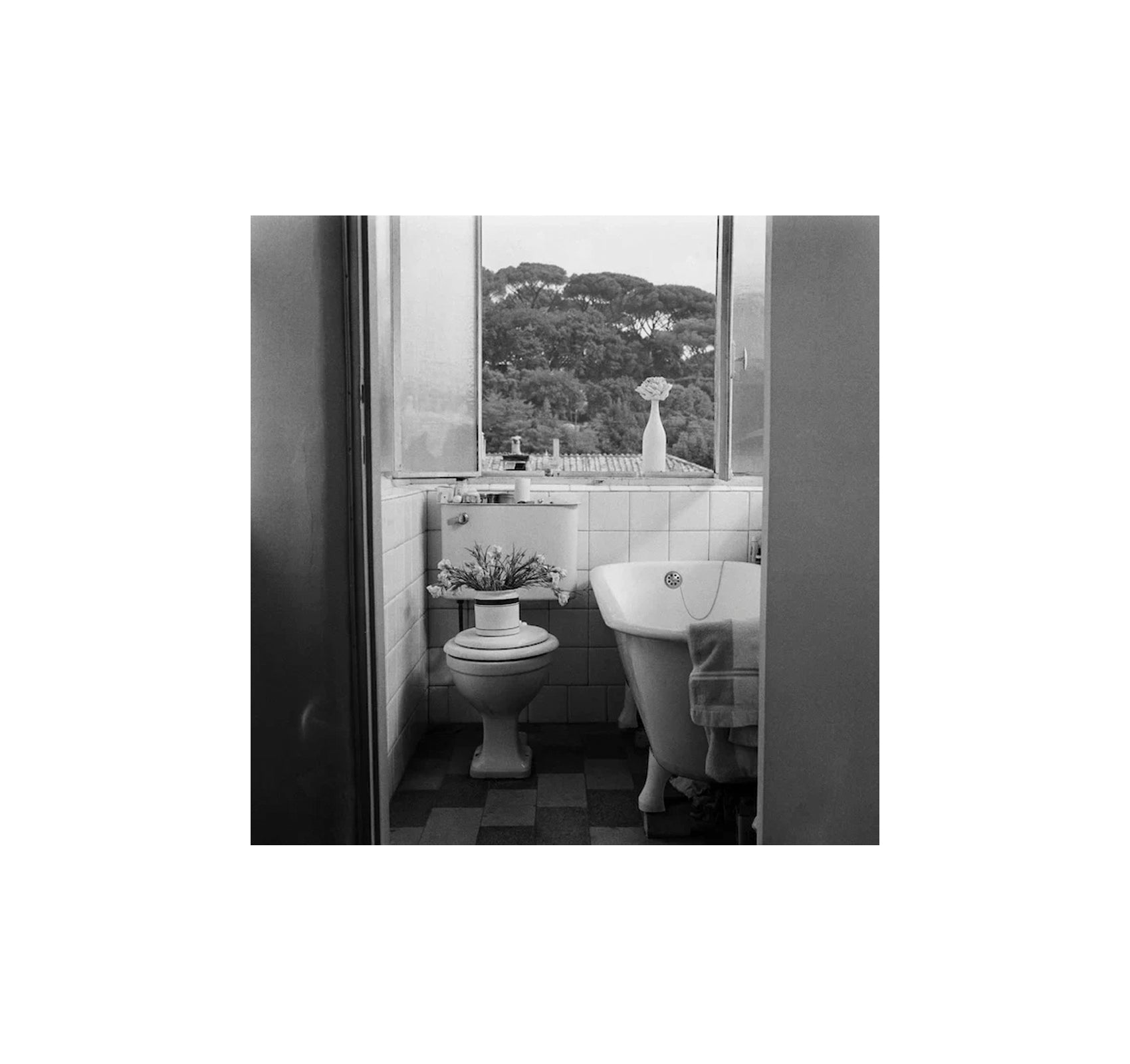 STELLA HONEY by Tatia Franchetti Twombly